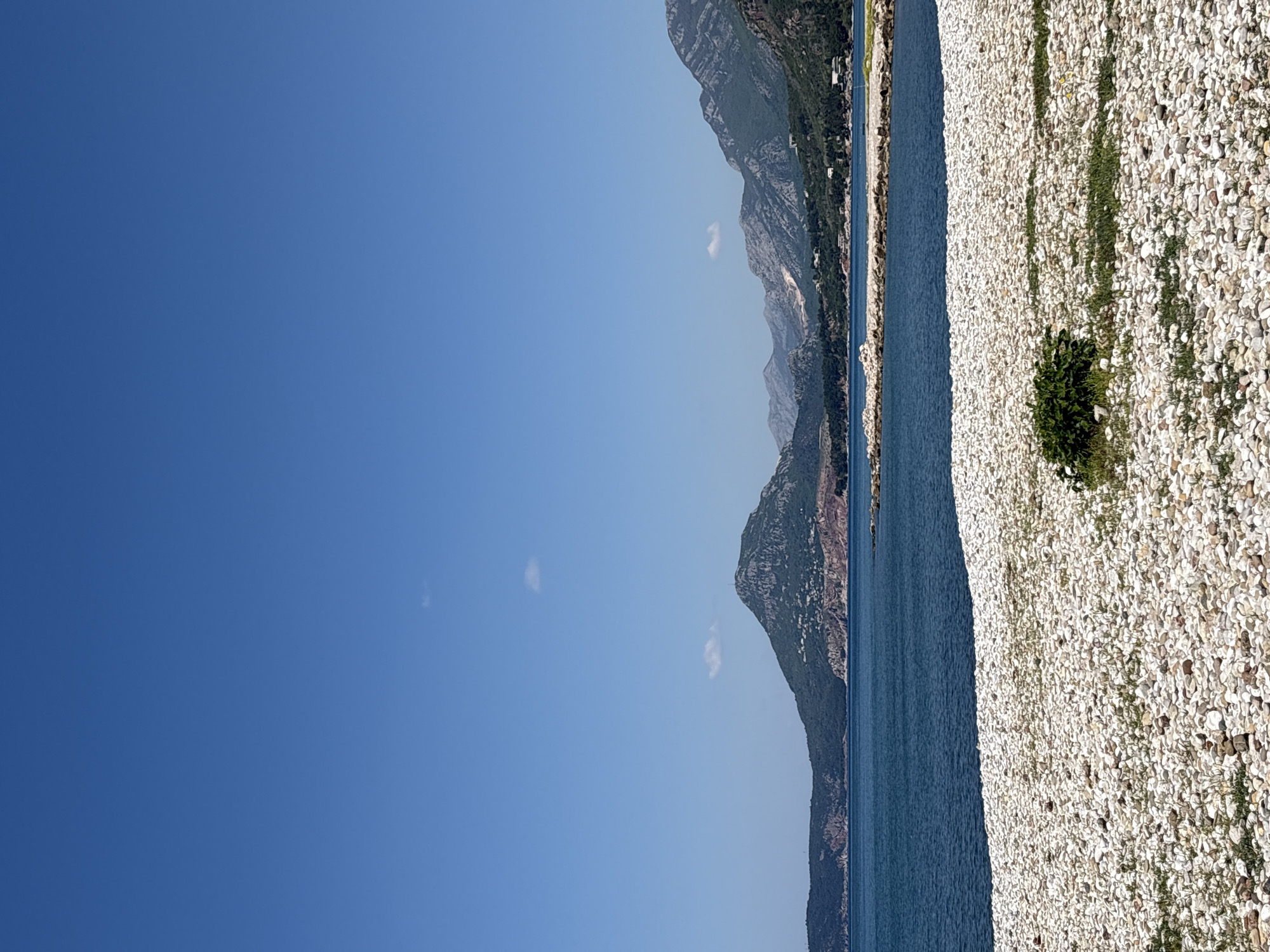 A serene coastal landscape is captured in a wide shot, presenting a vibrant natural scene. The image, when correctly oriented, features a broad expanse of clear, deep blue sky dominating the upper portion, dotted with a few very small, wispy white clouds.
In the mid-ground, a calm, deep blue body of water, likely the Adriatic Sea, stretches horizontally across the frame, acting as a clear division. On the left side of the water, a majestic range of dark, rugged mountains, partially covered with green vegetation, rises steeply, extending into the distant haze.
The foreground, on the right side, is occupied by a wide, light-colored pebble beach. This beach is composed of countless small, pale stones, giving it a distinctive texture. A single small, vibrant green bush stands out on the pebble beach in the lower right, with sporadic bits of green growth peeking through the stones elsewhere.
The scene depicts a peaceful, sunny day with bright illumination. No human activity or visible text is present. The mountainous coastline, clear blue waters, and pebble beach are characteristic features of the coastal area around Bar, Montenegro.