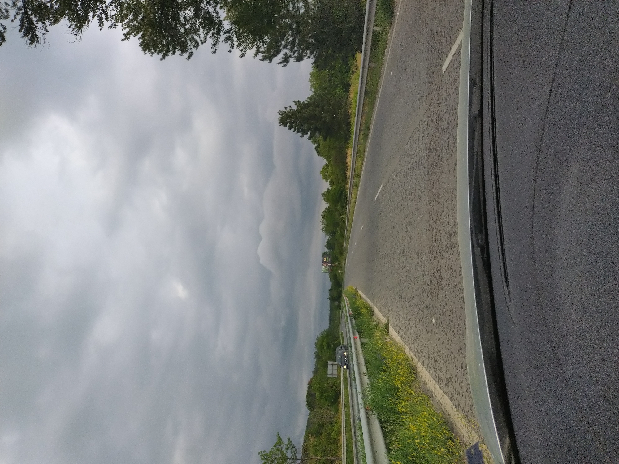 The image shows a view from inside a vehicle driving on a two-lane highway. The sky is overcast with dark, dramatic clouds. On the left side of the road, there is a metal guardrail and a grassy embankment with yellow wildflowers. Trees and foliage line the sides of the road, with a more dense forest in the distance. A dark-colored car is visible ahead in the left lane. On the right side of the road, there is a billboard in the distance. The asphalt of the road appears wet or speckled with debris. The foreground shows the dashboard and windshield of the vehicle. This scene is consistent with the road conditions and scenery found on the outskirts of Zmeyovo, Bulgaria, particularly along routes that connect to the town.