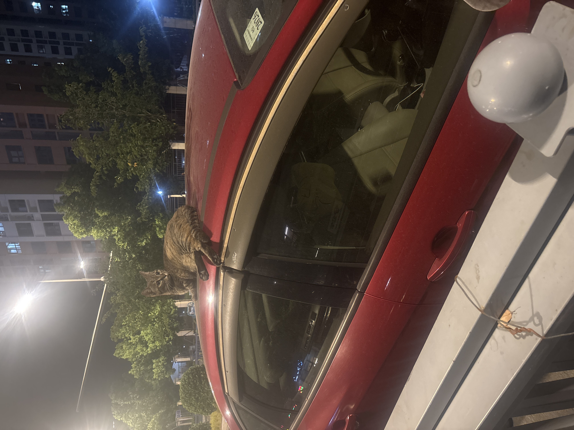 A tabby cat is resting on the roof of a red car. The car is parked at night in what appears to be a residential area, with tall buildings and trees visible in the background. A street light illuminates the scene. The car's windows are tinted, and its interior is partially visible. There is a sticker on the car's windshield. The foreground shows a railing with a white spherical object attached to it. The overall impression is of a common urban scene at night. The location is identified as Suzhou Industrial Park, China.