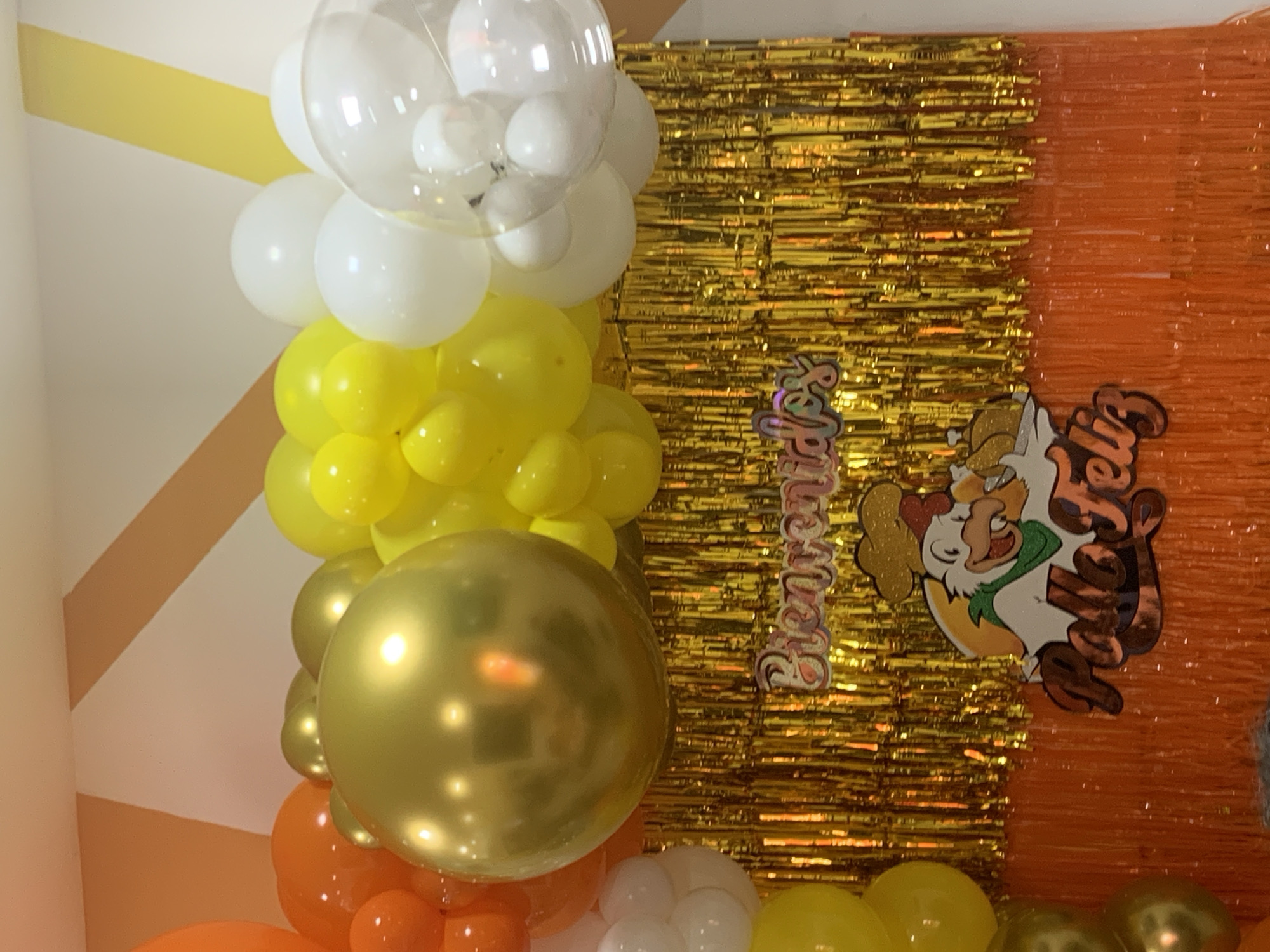 The image shows a celebratory decoration, likely for a birthday. It features a balloon arrangement with white, yellow, gold, and orange balloons, including a clear balloon with smaller white balloons inside. Behind the balloons is a backdrop with two types of shiny tinsel or fringe: one is gold and the other is orange. A cartoonish emblem with a character wearing a green scarf or necktie and text that says "Feliz" is partially visible, as is text that says "Chevre." Some yellow and white balloons are in the foreground. The location is not discernible, therefore the city of Santa Ana, Venezuela cannot be determined.