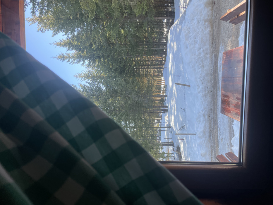 This image depicts an outdoor winter scene in Palež, Montenegro, viewed through a window frame made of dark wood. A green and white checkered curtain partially obscures the upper left portion of the view. Immediately outside the window, a rectangular wooden table and parts of two matching wooden benches are visible in the foreground, situated on ground covered with slushy snow and gravel. Beyond this, a snow-covered area features several wooden fence posts with wire strands. The background is dominated by a dense forest of tall coniferous trees under a clear, bright blue sky. Sunlight illuminates portions of the forest floor and tree trunks, casting long shadows. No individuals, animals, or specific actions are discernible.