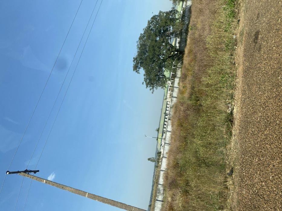 This image presents an outdoor scene in Zankan, Nigeria, under a clear, bright blue sky. The foreground consists of a brown, gravelly surface, transitioning into an expanse of dry, mixed vegetation dominated by tall, reddish-brown and green grasses. A light-colored concrete wall, featuring a dark capping, extends horizontally across the mid-ground, separating the vegetated area from structures beyond. Behind this wall, several single-story buildings with light-colored facades and green roofs are visible. A tall street light pole stands to the left of these buildings, also behind the wall. On the right, a large tree with dense green foliage partially obscures the buildings behind the wall. A concrete utility pole equipped with multiple insulators and several overhead power lines rises from the lower-left corner of the frame, extending upwards towards the sky. No individuals, explicit actions, or interactions are visible in the scene.