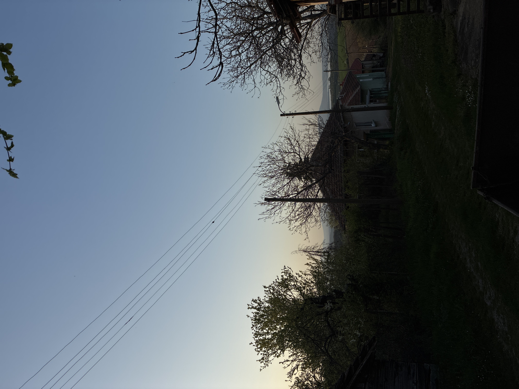 The image, taken during the golden hour of late afternoon or early evening, depicts a serene rural or semi-rural landscape. The sky transitions from a clear, deep blue overhead to a lighter, almost yellow hue near the horizon, suggesting a clear day with soft, warm light.
In the foreground, a vine or branch with fresh green leaves partially frames the left side of the image, while a heavily shadowed area, possibly a building or fence, and some green ground occupy the right.
The midground features several utility poles with electrical wires stretching across the frame, one pole equipped with a street light. A mix of trees, some with bare, intricate branches and others beginning to show new green leaves, are scattered throughout this section. Beyond the poles and trees, several houses with red-tiled or grey roofs are visible, nestled among greenery and what appears to be a dirt path or road.
The background reveals distant hills or mountains, softened by a light haze, contributing to the tranquil atmosphere. No people are visible, and there is no overt activity taking place. The scene conveys a peaceful, quiet moment in a natural setting. There is no visible text in the image. The location context of Bokilovtsi, Bulgaria, aligns with this pastoral view.