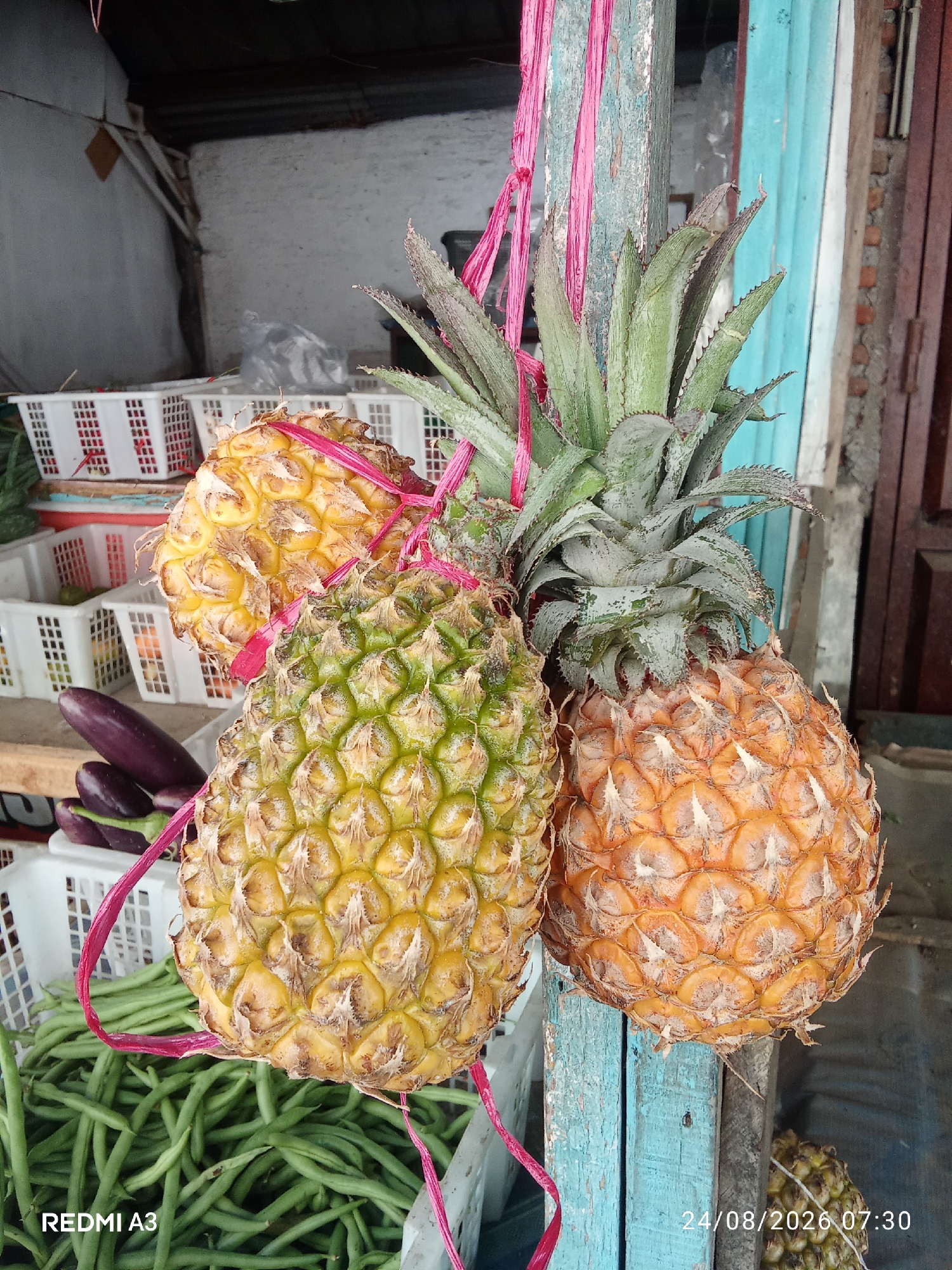 The image shows a market stall in Cemani, Indonesia, with three pineapples hanging from a wooden post. The pineapples are of varying ripeness, with one appearing green and the others yellow to orange. They are tied with pink twine. In the foreground, a crate of green beans is visible. Behind the pineapples, white plastic baskets are stacked, some containing what appear to be eggplants. The background suggests an outdoor setting with a weathered building. The lighting is bright, indicating daylight. A date and time stamp "24/08/2026 07:30" and "REDMI A3" are present in the bottom corners of the image.