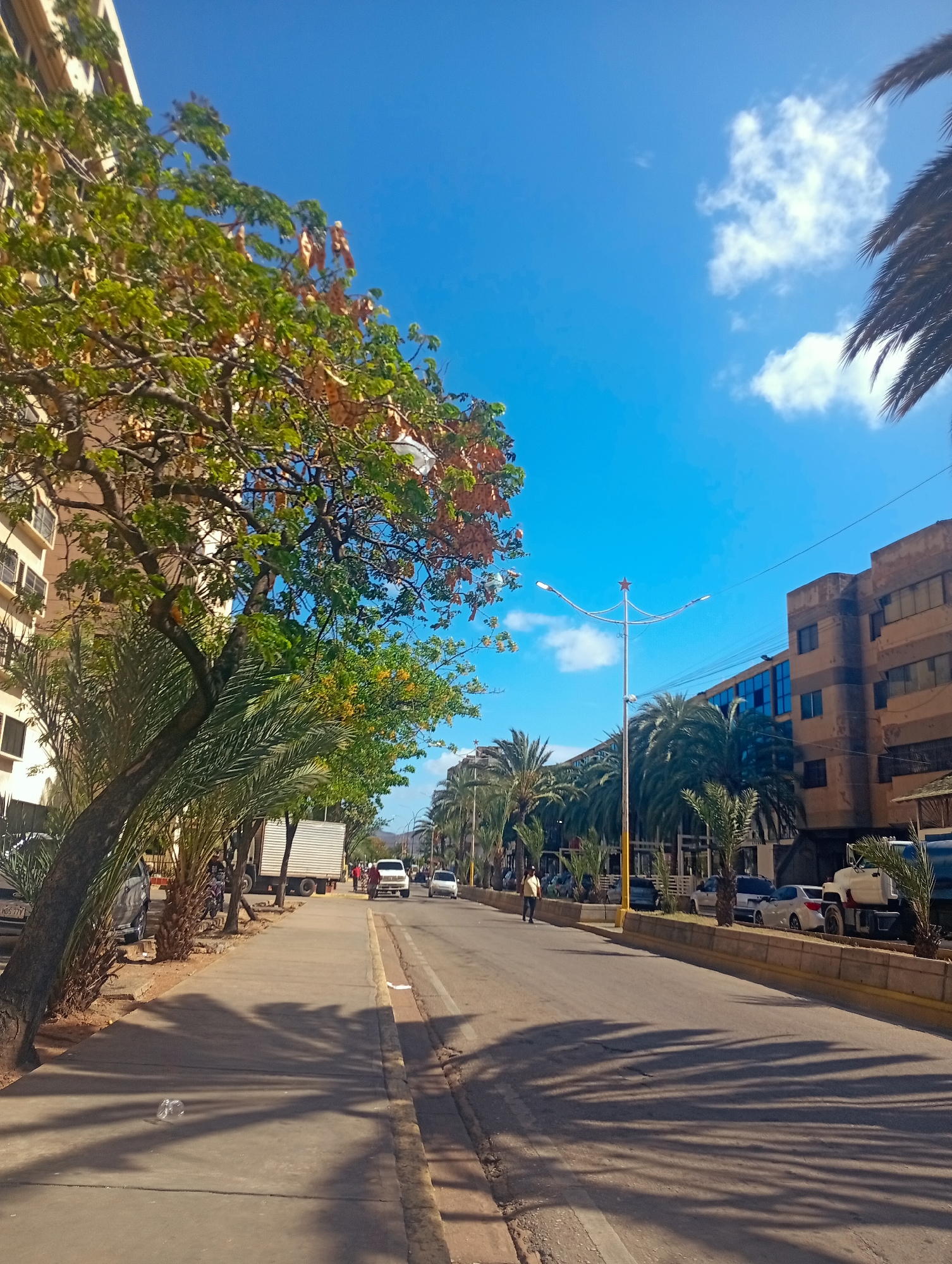 A street scene in Juan Griego, Venezuela, on a sunny day with a bright blue sky and scattered white clouds. Palm trees line the sidewalk, casting long shadows across the pavement. The sidewalk is made of concrete and appears to be slightly elevated from the road. A large, leafy tree with brown seed pods is prominent in the foreground, growing next to a multi-story building with cream-colored walls and dark-rimmed windows. Across the street, more palm trees and a row of buildings with brownish facades are visible. Several vehicles are present, including a white truck with a large tank, a white van, a silver sedan, and a darker sedan. A person in a yellow shirt is walking on the sidewalk, and another person is riding a motorcycle. A clear plastic cup lies on the sidewalk in the foreground. The street is paved and shows signs of traffic.