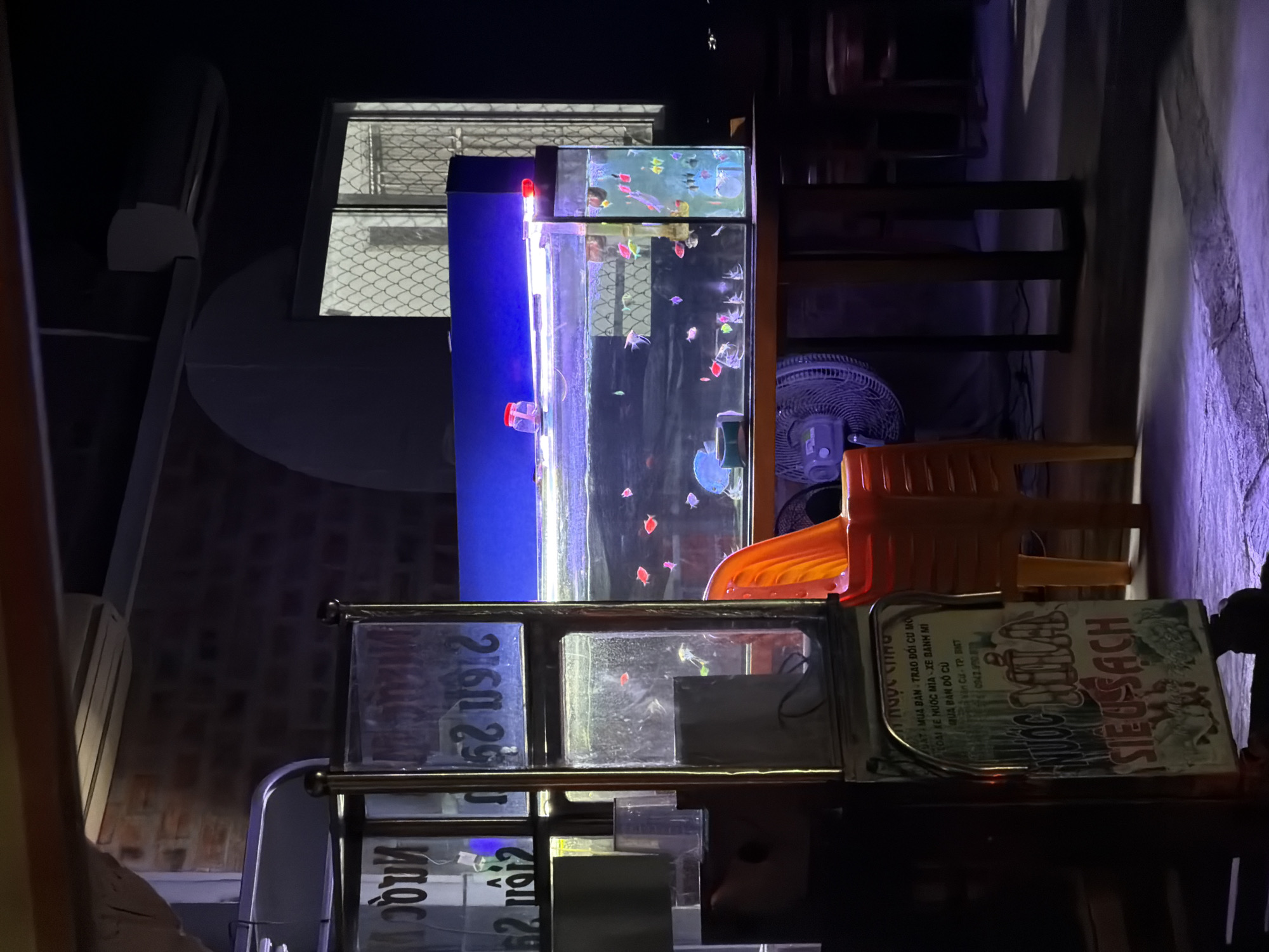 The image shows an outdoor scene at night, likely in Nha Trang, Vietnam, with a focus on a fish tank and a food/drink cart. The fish tank, illuminated by a blue light, contains numerous small, colorful fish. An orange plastic chair is positioned in front of the tank. To the left, a food/drink cart with glass panels displays text in Vietnamese, including the words "NƯỚC MÍA" (sugarcane juice) and "SIÊU SẠCH" (super clean). The cart appears to be made of metal with gold-colored trim. In the background, a brick wall and windows with a patterned screen are visible. The lighting suggests it is evening or night, casting purple and white light on the ground. A fan is also visible near the base of the table supporting the fish tank. The overall environment appears to be a casual outdoor seating area, possibly a street-side establishment.