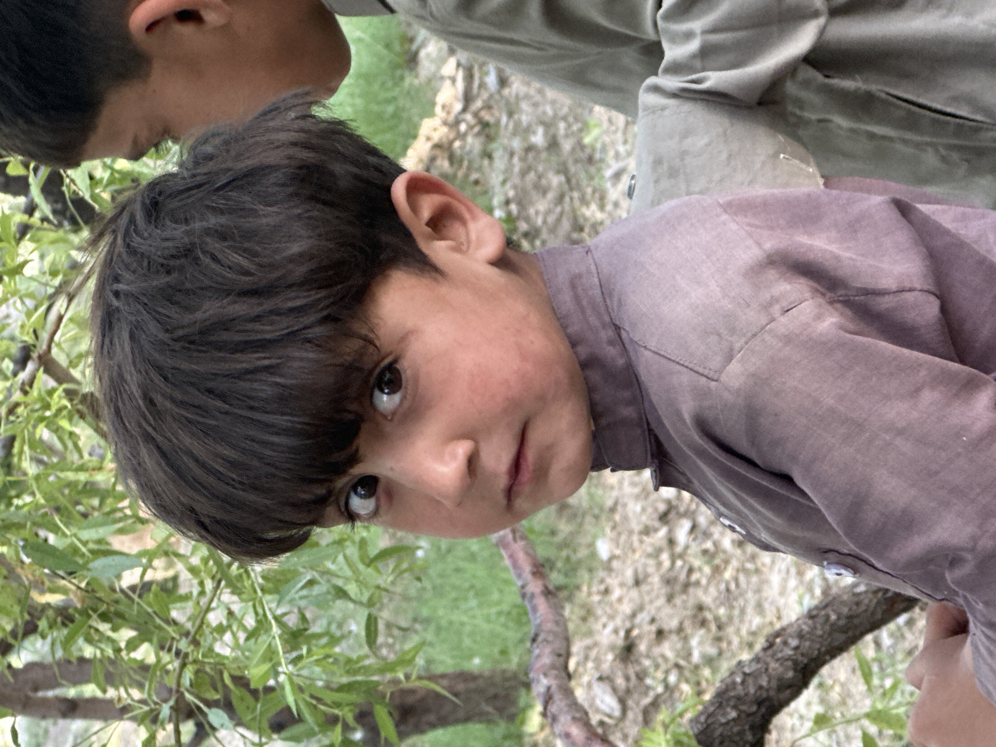 A close-up, canted medium shot shows a young boy with dark brown hair and brown eyes, gazing directly at the camera with a curious expression. He is wearing a collared shirt of a purplish-brown hue. A blurred figure, partially visible in the upper portion of the image, wears a tan or light green shirt. The backdrop is a blend of natural elements: foliage, trees, and a ground covered in gravel or small rocks. The specific location and city are not discernible from the image.