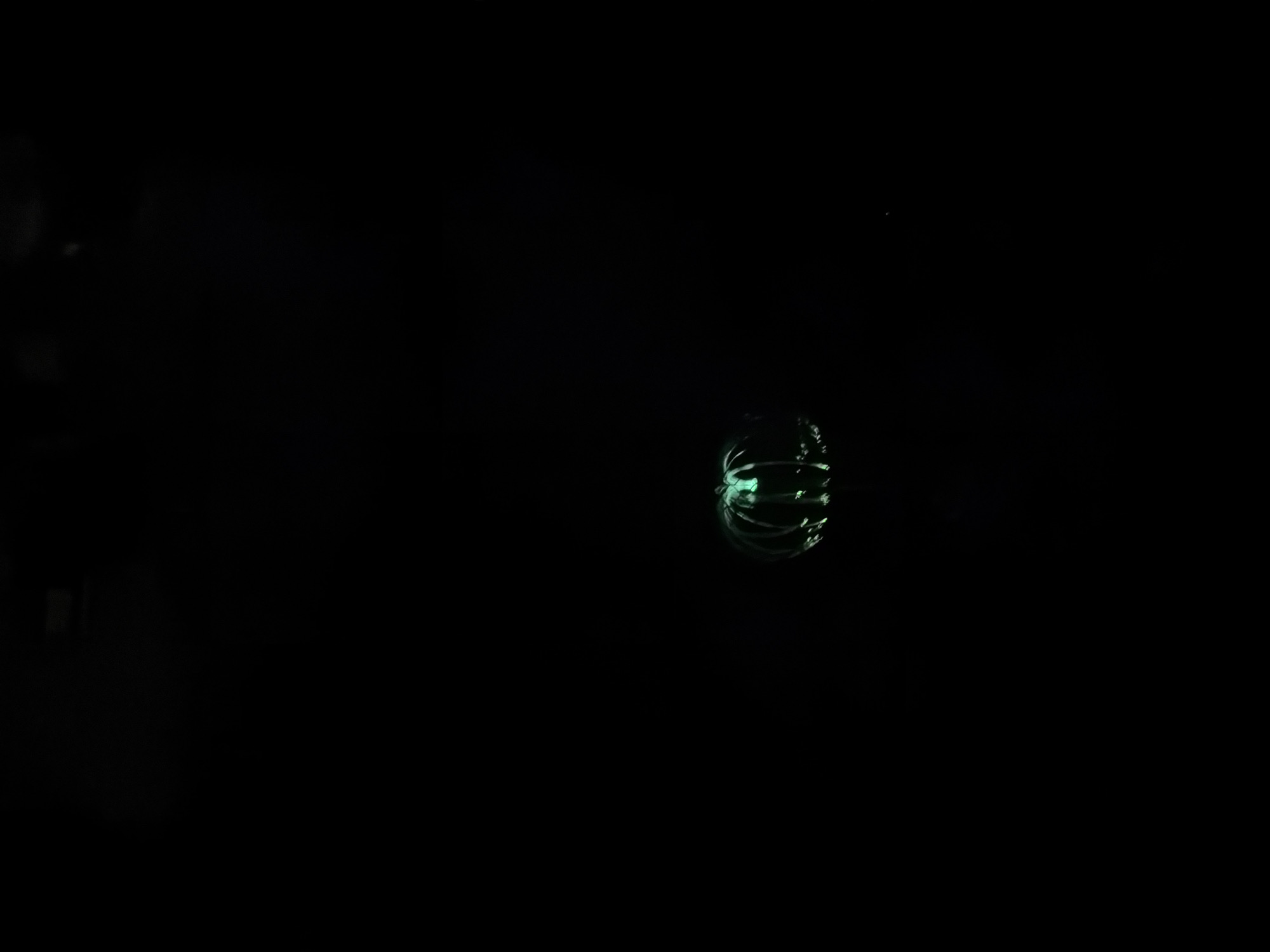 The image displays a single, isolated subject: a bioluminescent organism, likely an aquatic invertebrate such as a jellyfish, emitting a vibrant green light. The creature possesses a bell-like or rounded body structure from which numerous delicate, glowing filaments or tentacles extend downwards and outwards, creating a cage-like or radial pattern of light. The surrounding environment is completely black, providing no visual cues regarding depth, scale, or specific habitat. No other subjects, objects, or environmental features are discernible. The image provides no visual information to suggest the location is Akkuzovo, Russia, or any other specific geographical place; the subject is presented in a void of darkness.