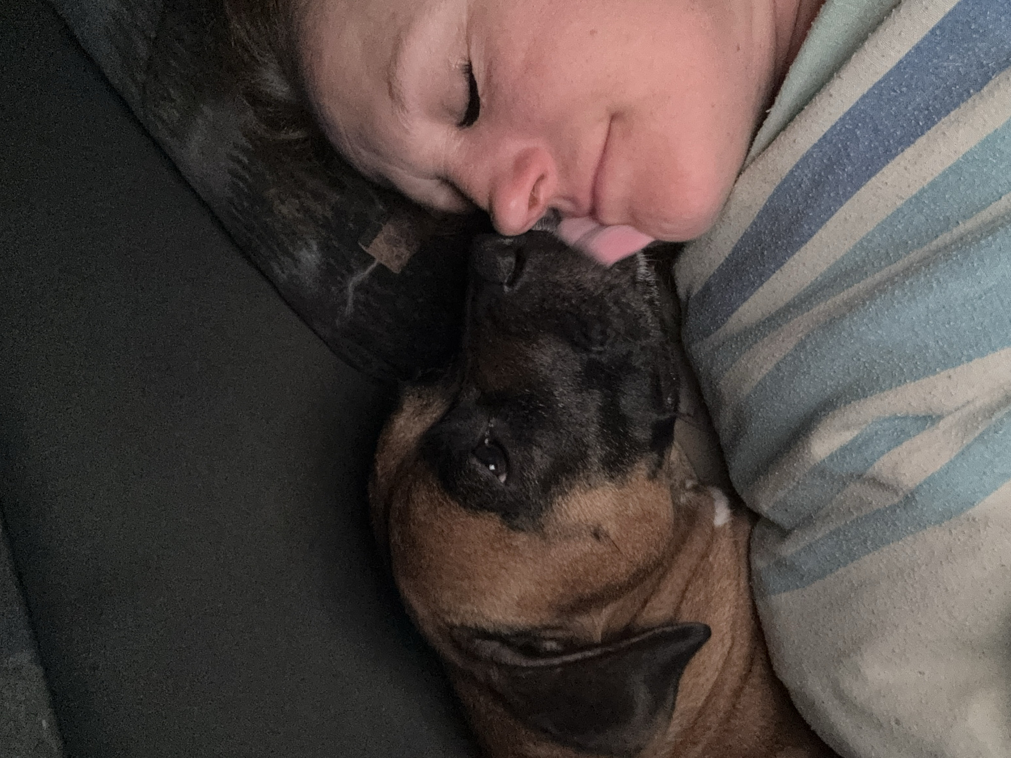 A close-up shot depicts a person lying down with their eyes closed, their face closely pressed against a brown and black dog. The dog is licking the person's nose. The scene takes place on what appears to be a couch or bed, indicated by a striped pillow and a dark-colored couch surface. There is no indication of the location being in Chaikovsky, Russia.