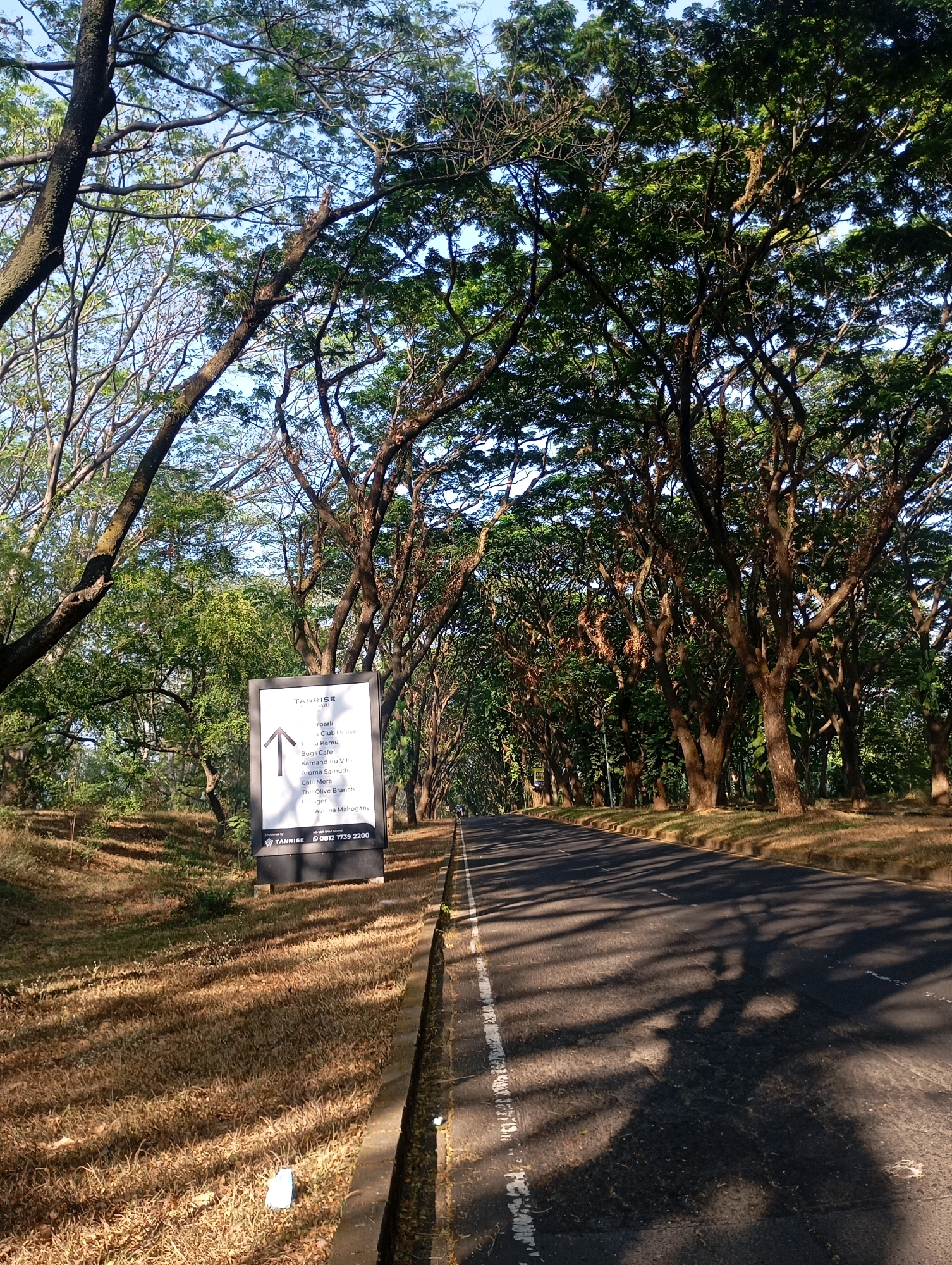 A vertical, eye-level, medium shot captures a tree-lined road in Bulukandang, Indonesia, bathed in the warm light of a sunny day. The road itself is asphalt, with a white line marking the center and a grey curb running alongside. The left side of the road features a grassy embankment covered in dry, golden grass and dappled with shadows cast by the overhanging trees. On the right side of the road, the embankment is also covered in grass and shadowed by the trees.
Dominating the scene are large, mature trees with dense green canopies that arch over the road, creating a natural tunnel effect. Their branches, some bare and others covered in leaves, form intricate patterns against the clear blue sky. The sun, positioned somewhere to the right, casts long, dramatic shadows across the road and the grassy areas.
Near the left edge of the frame, a tall, black sign stands on a pole. The sign has white text and an upward-pointing arrow, indicating directions to various locations. The text on the sign is partially legible and appears to list places like "Club House," "Bugs Cafe," "Kallu Mera," and "The Olive Branch." At the bottom of the sign, "TANRISE" is visible, along with a phone number.
The overall impression is one of serene natural beauty and tranquility, with the man-made road integrated into the lush, verdant environment. The lighting suggests it is either early morning or late afternoon, with the low angle of the sun creating the pronounced shadows. There are no people visible in the image.