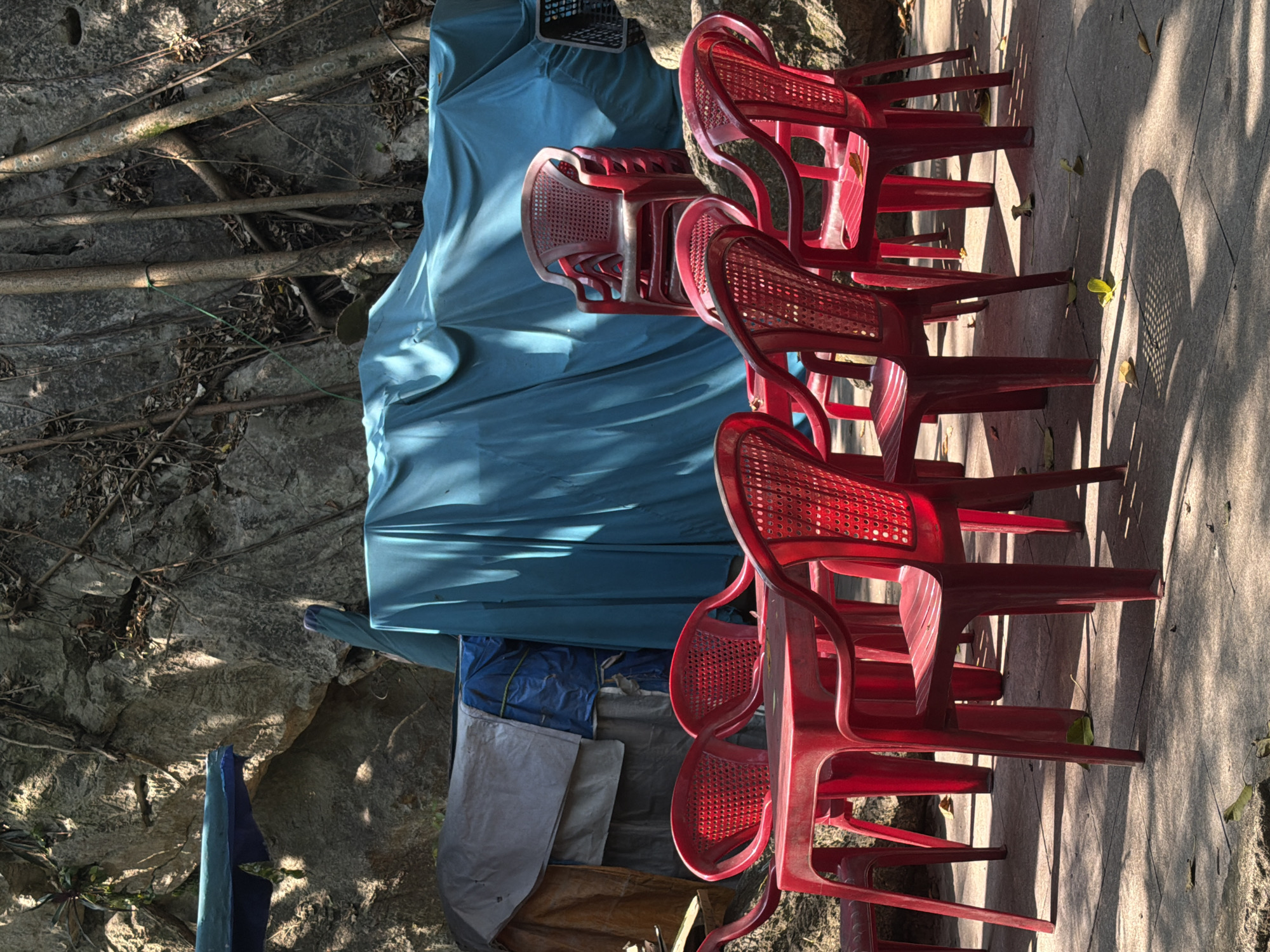 The image shows a stack of red plastic chairs next to a tarp-covered object in an outdoor setting. The backdrop includes trees, exposed roots, and stone, suggesting a natural environment, possibly a park or forested area. The presence of a tiled surface implies a transition to a more urbanized area. The location is in Đà Nẵng, Vietnam. No people or interactions are visible in the image. The subject matter appears to be a temporary setup of stacked chairs for an event or gathering that is likely to be at night.