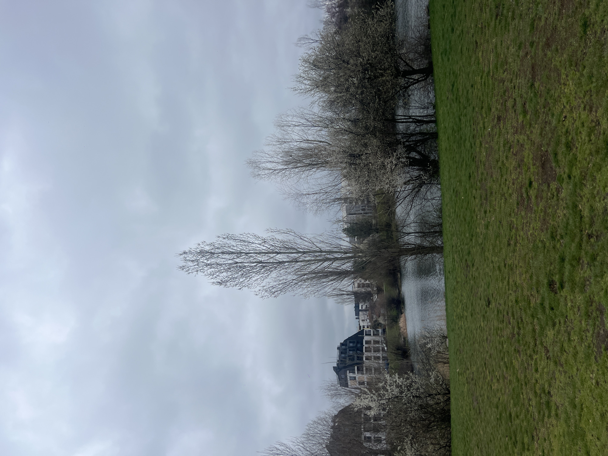 The image shows a park landscape near a body of water, possibly a river or lake. The foreground features a grassy area. Bare trees and trees with white blossoms line the water's edge. Buildings are visible in the background. The sky is overcast. The location is likely in Sofia, Bulgaria.