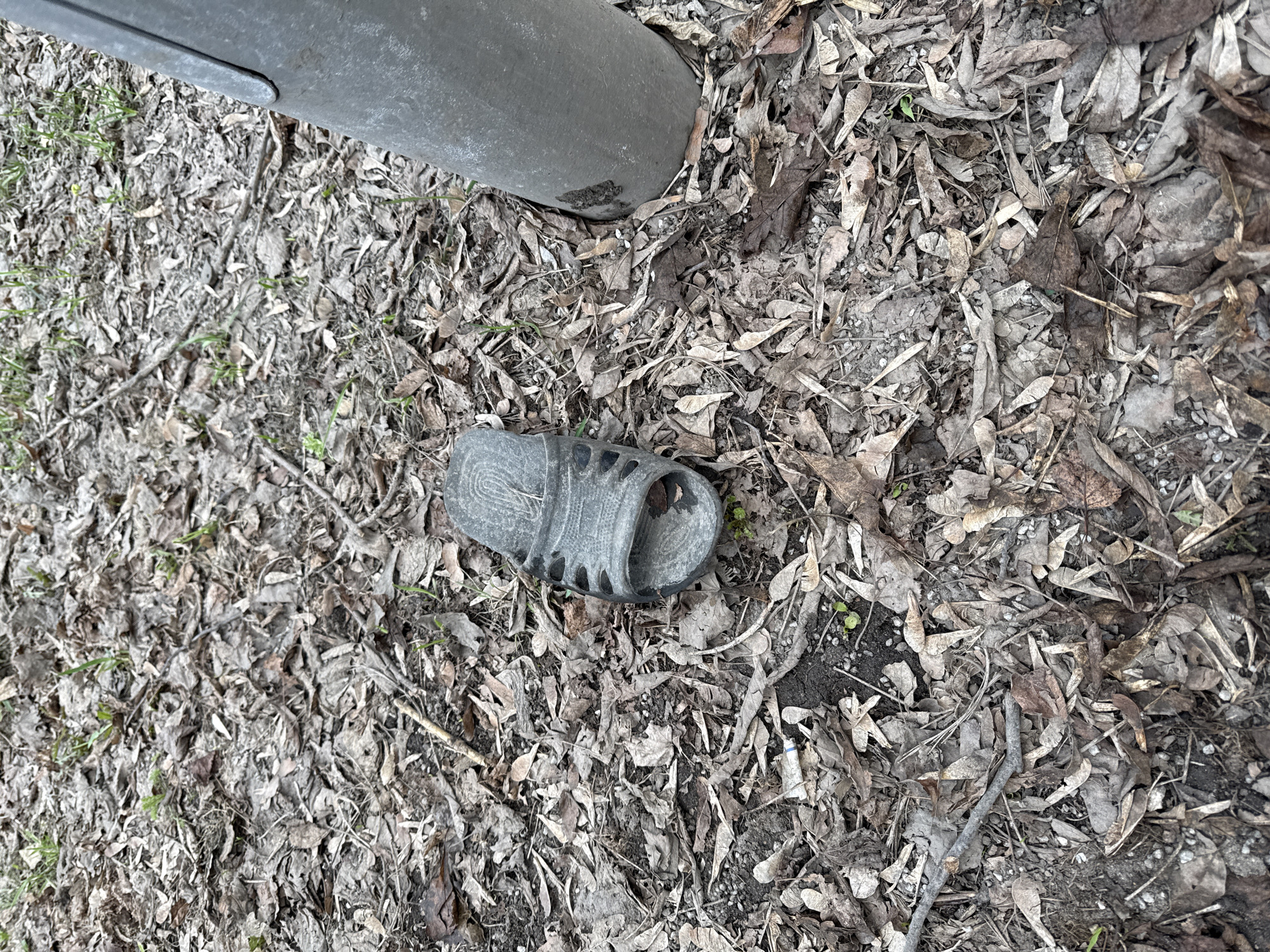A single gray child's sandal lies on a bed of dry leaves next to a gray metal pole. Sparse green shoots of grass are visible among the leaves. The scene is located outdoors.
