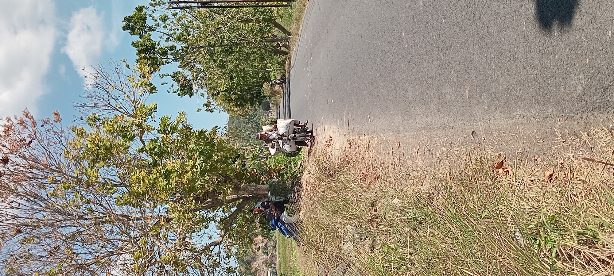 In Paledah, Indonesia, a paved road runs through a rural landscape under a bright, partly cloudy sky. The road is flanked by dry, tall grass on the left and a line of trees with green and dry leaves on the right. A man, wearing a hat and light-colored clothing, is riding a motorcycle laden with two large white sacks. He is heading down the road, away from the viewer. On the left side of the road, under the shade of a large tree with a thick trunk, another man is seated on a blue motorcycle. He is facing the road, looking towards the man on the moving motorcycle. The area behind him suggests agricultural fields and distant hills. The overall scene depicts a moment of daily life and travel in a rural Indonesian setting.