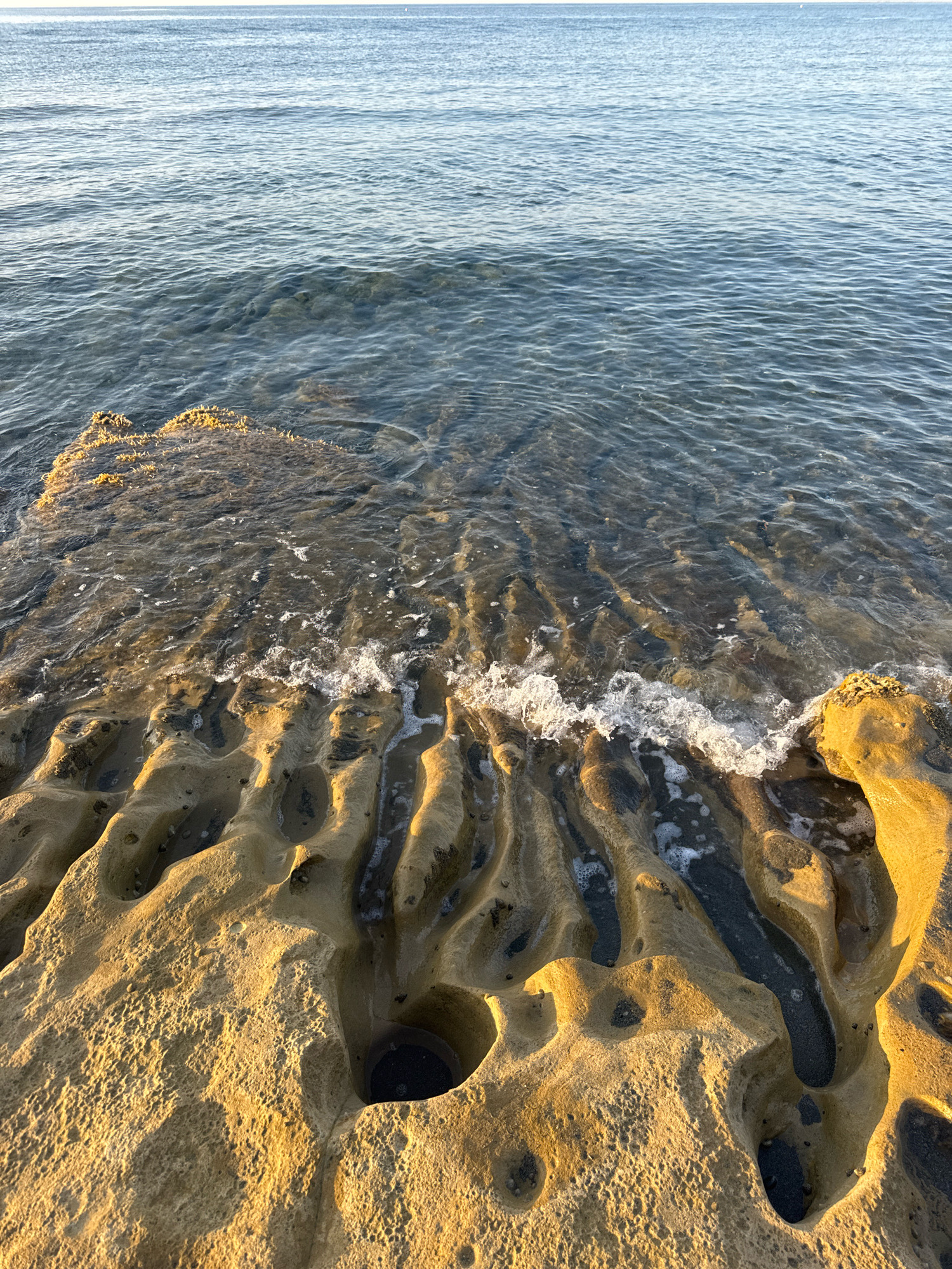The image captures a close-up view of a rocky shoreline bathed in the warm light of either sunrise or sunset. The foreground is dominated by textured, yellowish-brown rock formations riddled with numerous holes and crevices, some of which are filled with dark sand. The water, a clear, tranquil blue, gently laps at the edge of these formations, creating small, foamy waves and ripples that glisten in the light. A thin layer of algae or seaweed can be seen clinging to the top surface of the rocks where they meet the water. The horizon line, where the sea meets the sky, is a soft, indistinct blue. The scene is devoid of any human presence or artificial structures, offering a naturalistic view of the coastal environment in Agios Tychona Community, Cyprus.