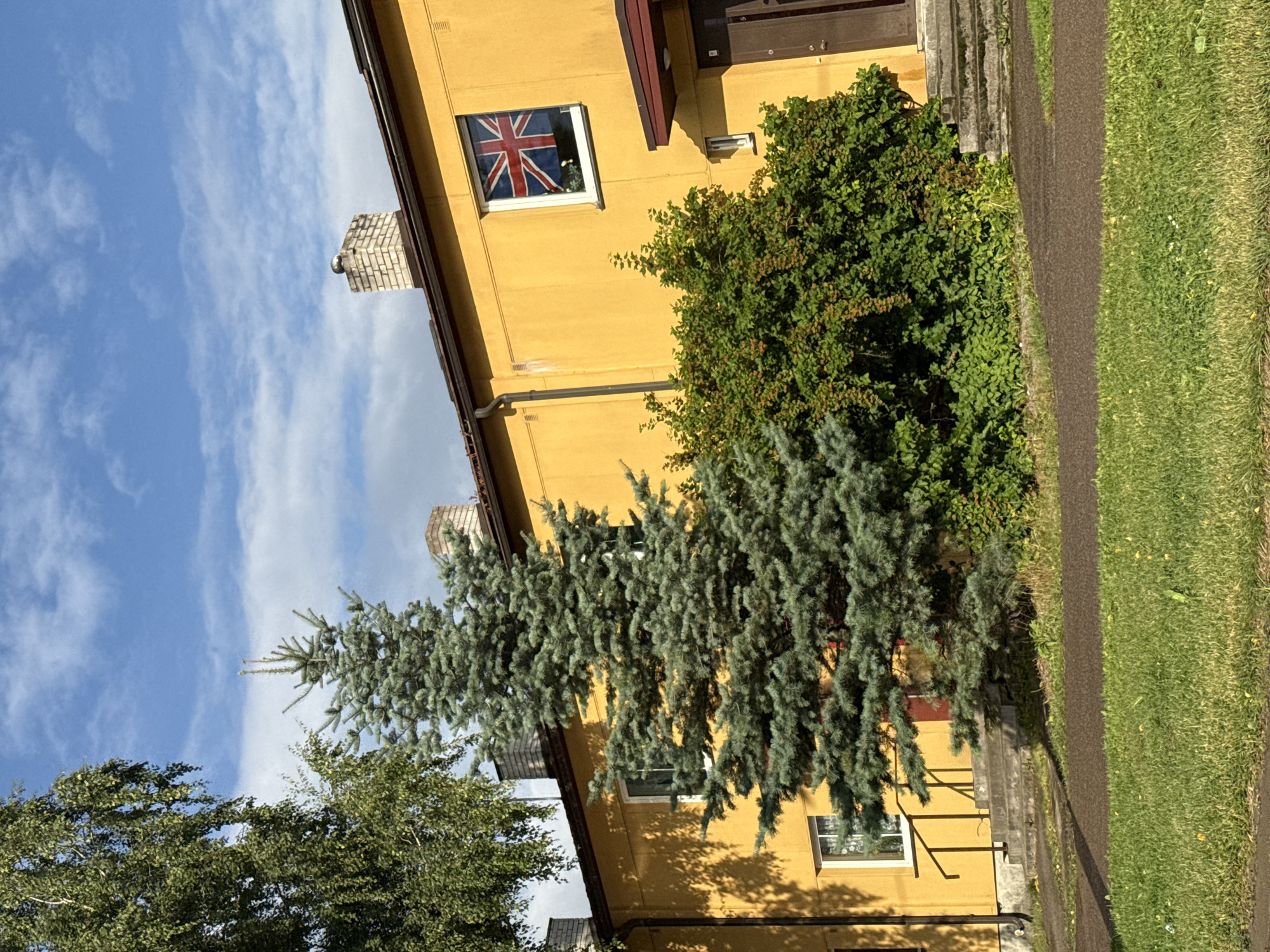 The image shows a yellow building with a Union Jack flag displayed in a window. A large evergreen tree stands in front of the building, partially obscuring a smaller deciduous tree on the left. A bush with red berries is located to the right of the evergreen tree. There are concrete stairs leading to a dark brown door on the right side of the building, and another set of stairs with a railing leads to a red door on the left side. The building appears to be an apartment building or a similar multi-unit dwelling. The ground in front of the building is covered with grass and a dark pathway. The sky is blue with scattered white clouds. The location is identified as Tallinn, Estonia. There are no people or actions depicted in the image.