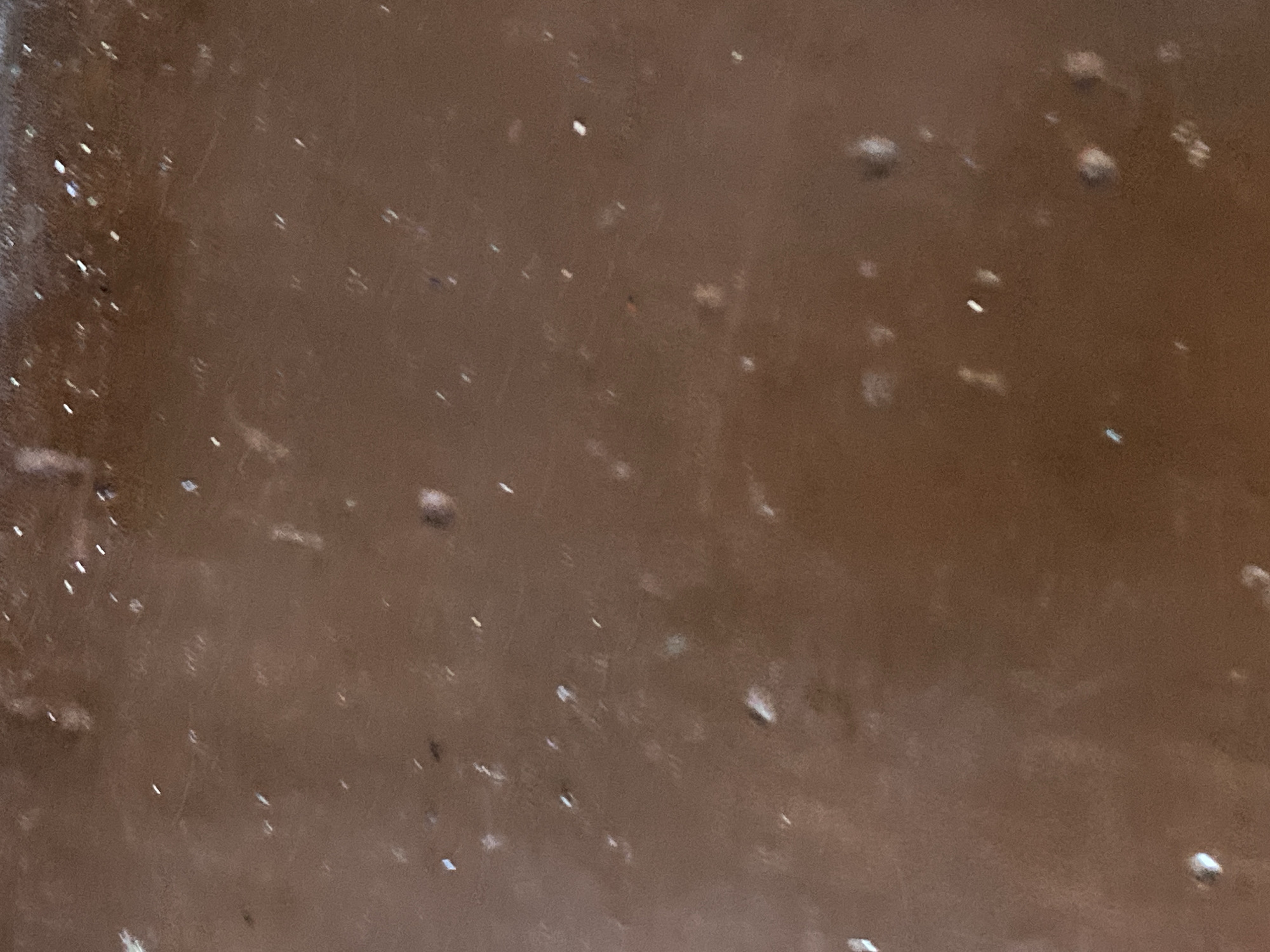 The image shows a close-up, abstract view of a brown, speckled surface, possibly a textured wall or painted object. Tiny white and dark specks are scattered across the brown background, suggesting dust, paint flecks, or imperfections. The lighting creates a slight sheen on the surface in some areas. There are no discernible features of Jauro Yinu, Nigeria, or any specific objects or people present in the image.