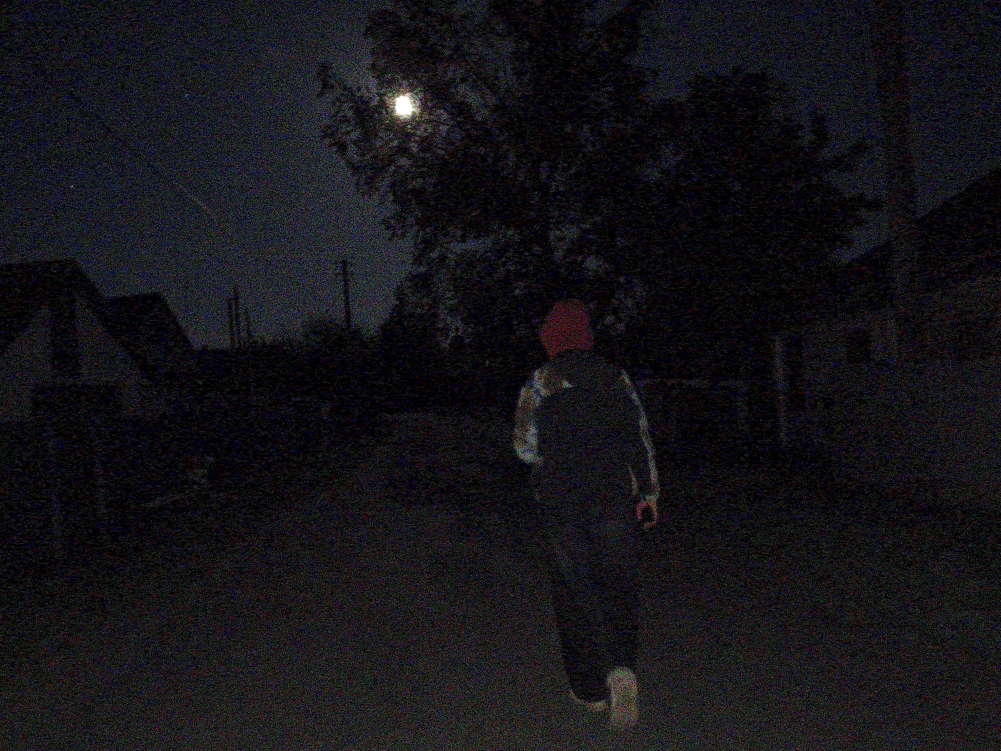 The image shows a person walking on a road at night in Ustyvytsia, Ukraine. The person is wearing dark clothing with a red hat and light-colored shoes and is walking away from the viewer. A bright moon shines above a tree in the background. Houses are visible in the periphery.