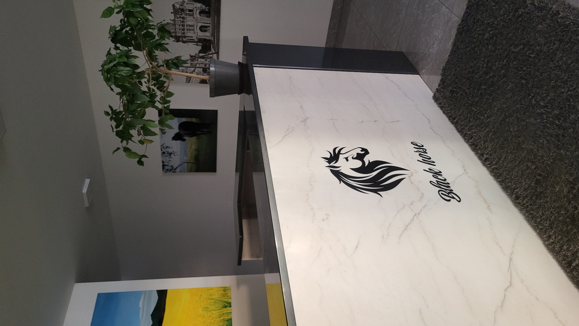 The image shows a reception desk with a marble-like finish, featuring a black silhouette of a horse's head and the text "Black horse" below it. A dark gray textured rug lies in front of the desk. Behind the desk, a plant in a dark gray pot is visible, and on the wall, there are two framed pictures: one of a dark horse in a field and another of an ornate building. To the left, a painting with a vibrant yellow field under a blue sky is partially visible. The setting appears to be an indoor reception area, possibly a hotel lobby or business office. The image was taken in Prešov, Slovakia.