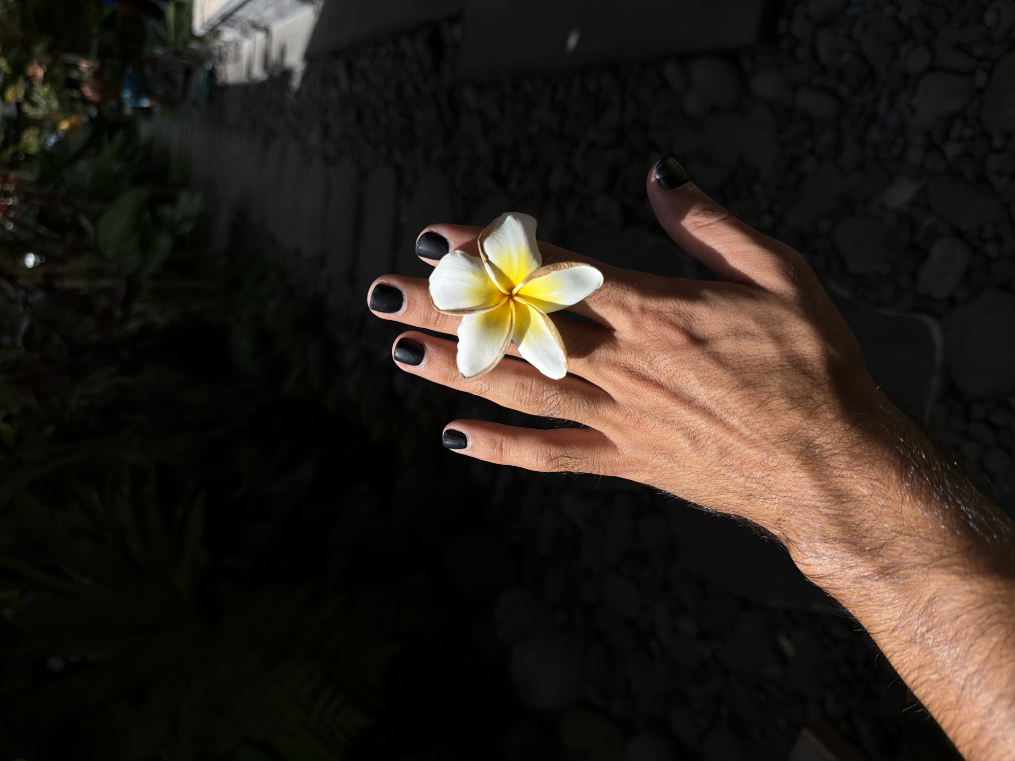 A left hand with black nail polish is held up, displaying a white and yellow plumeria flower resting on the index and middle fingers. The hand is positioned in the foreground, with a pathway made of flagstones and pebbles visible in the background. Lush green foliage and shadows dominate the left side of the image, suggesting an outdoor setting with dappled sunlight. The overall scene appears to be in a garden or a pathway within a tropical environment, possibly in North Kuta, Indonesia, given the presence of plumeria flowers and dense vegetation.