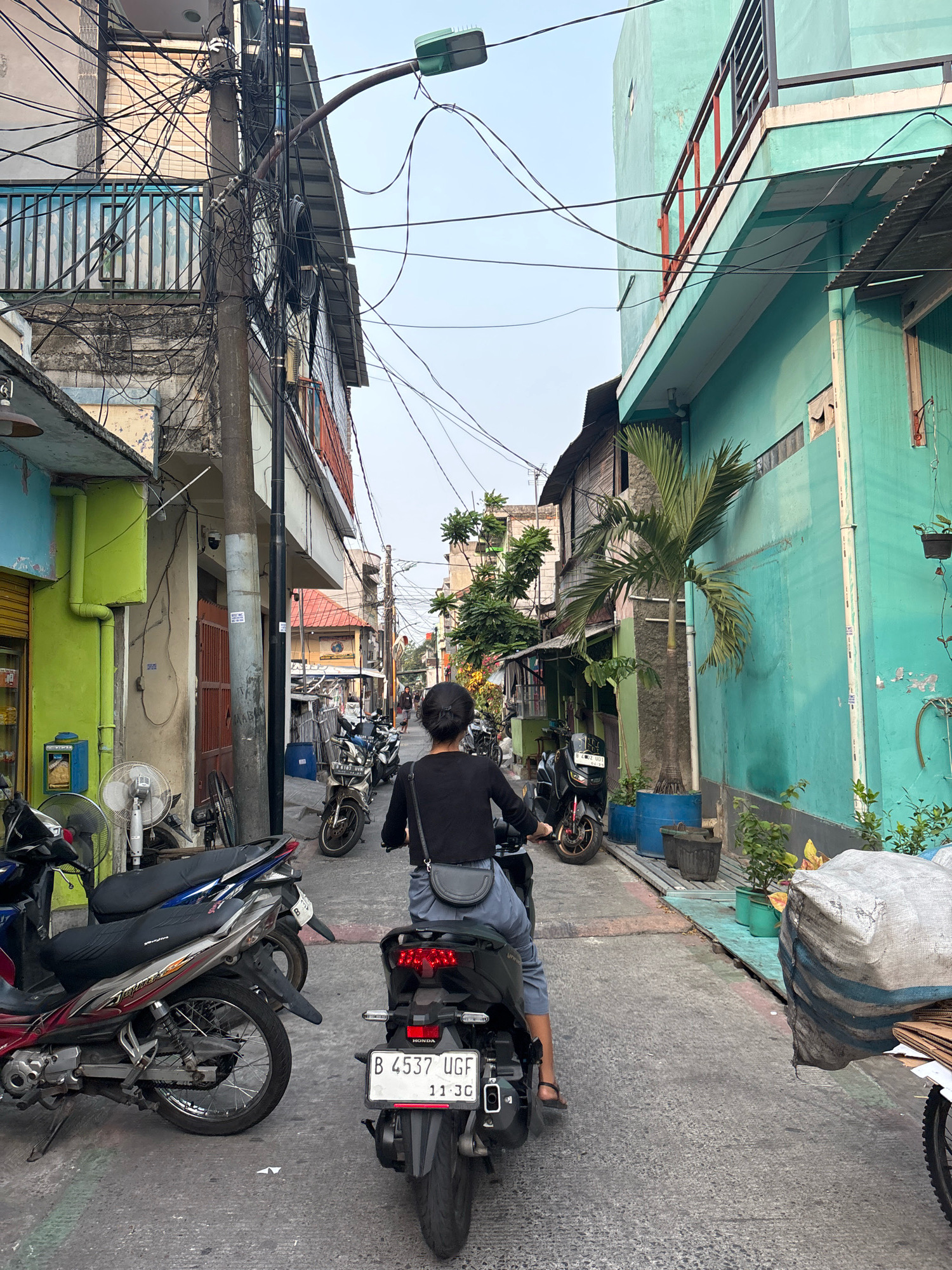 The image captures a view from behind a person riding a black scooter on a narrow, paved street in North Jakarta, Indonesia. The scooter's license plate reads "B 4537 UGF". The street is lined with multi-story buildings exhibiting a mix of architectural styles and vibrant colors. To the left, buildings are painted in blue and lime green, with exposed electrical wiring and a utility pole heavily laden with cables. To the right, a prominent teal-colored building features a balcony with a red railing, and further down the street, other buildings show varying shades of red and orange. Parked motorcycles are visible on both sides of the street, including a silver and red motorcycle on the left with the license plate "B 6183 UVM". Potted plants, including a palm tree, are placed along the right side of the street, some in blue planters. A large, burlap-wrapped bundle is also present on the right. The sky is overcast, suggesting it is daytime. The overall scene depicts a busy urban environment with dense residential and commercial structures.