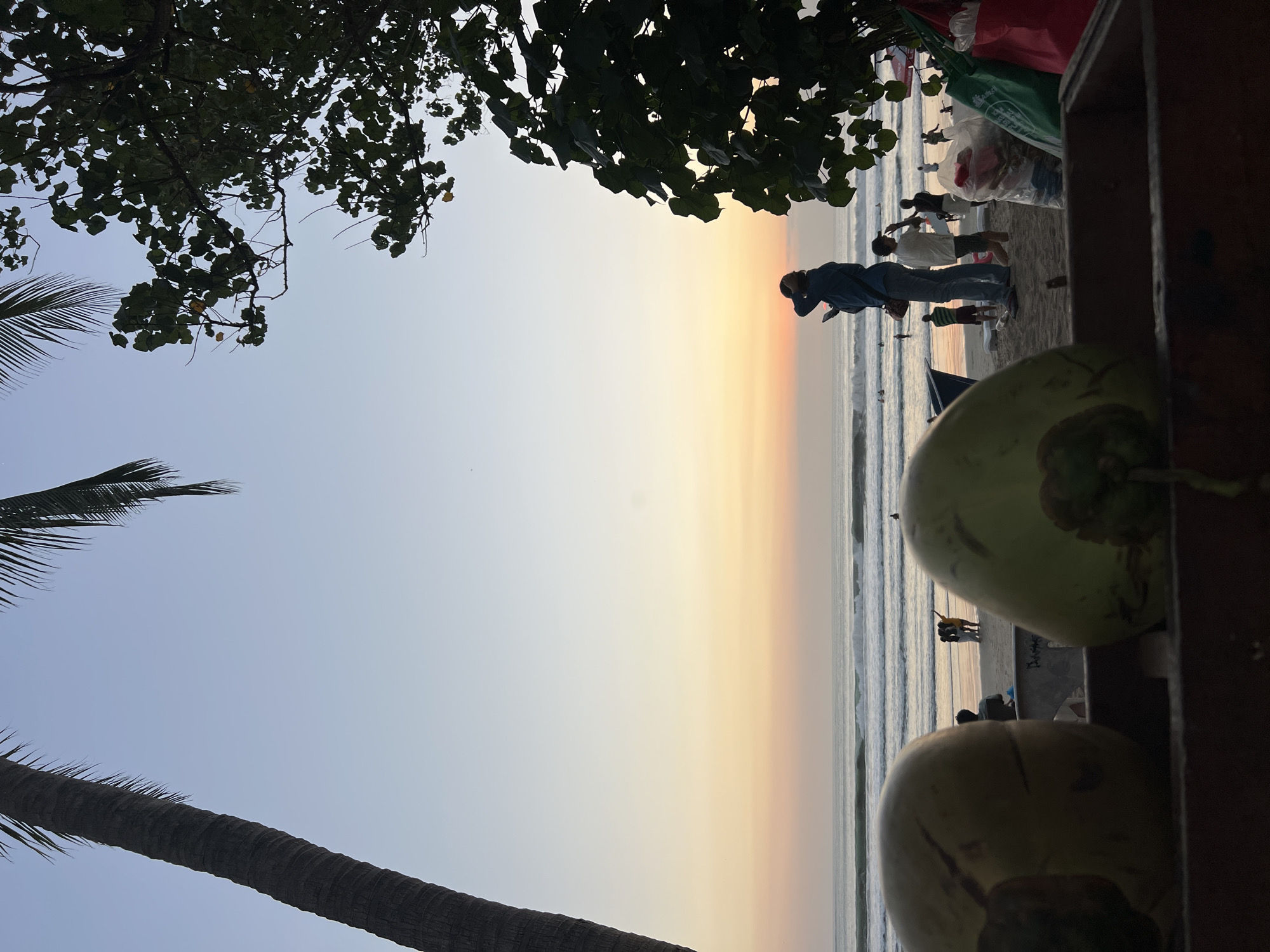In Kuta, Indonesia, at dusk, the foreground of this beach scene is dominated by two green coconuts, positioned in a wooden crate. Behind them, the sandy beach is populated by several individuals. A person in a blue jacket stands facing the ocean, looking at their phone. To their right, a child in a white shirt and tan shorts is observed. Further out, a cluster of people are visible near the water's edge. The ocean stretches to the horizon, with waves gently rolling onto the shore. The sky exhibits a gradient of colors, transitioning from a pale blue at the top to soft orange and yellow hues near the horizon, indicating sunset. A tall palm tree is visible on the left, and lush green foliage frames the right side of the image.