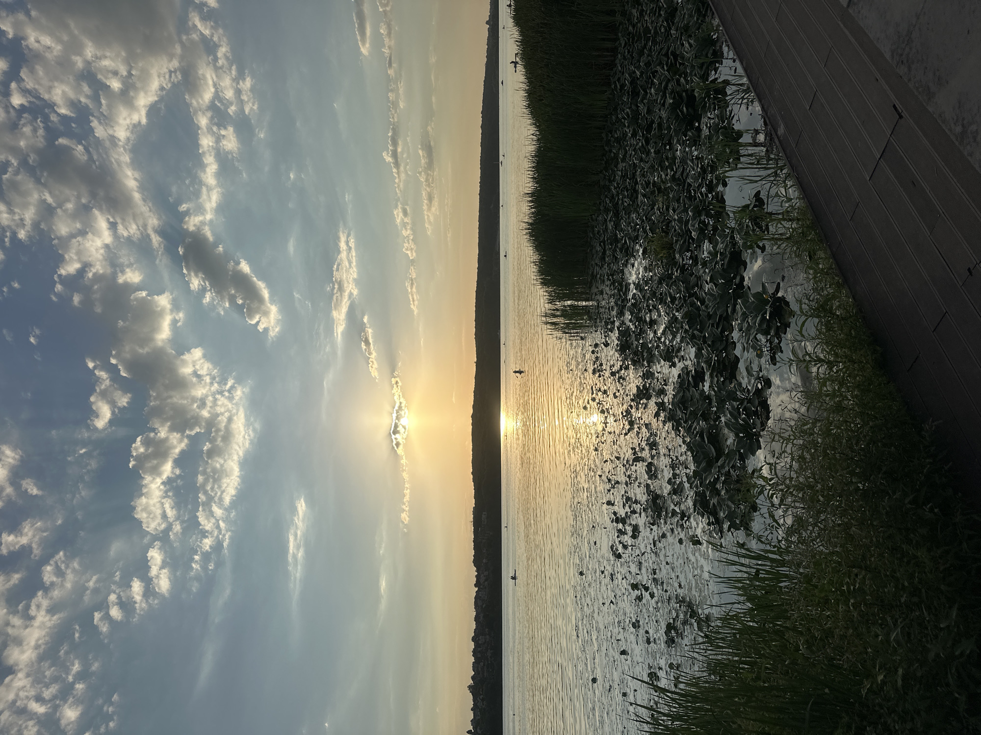 The image depicts a serene sunset over a lake, likely located near Ternopil, Ukraine, given the distinctive skyline of buildings and vegetation visible on the distant shore. The sun, partially obscured by clouds, casts a warm, golden glow across the water, creating a shimmering reflection. The foreground is dominated by a wooden boardwalk and lush green reeds, with lily pads scattered across the water's surface. Several individuals are visible in the distance, some on paddleboards or kayaks, enjoying the tranquil evening. The sky is a mix of blues and grays, with scattered clouds illuminated by the setting sun. The overall impression is one of peace and natural beauty.
