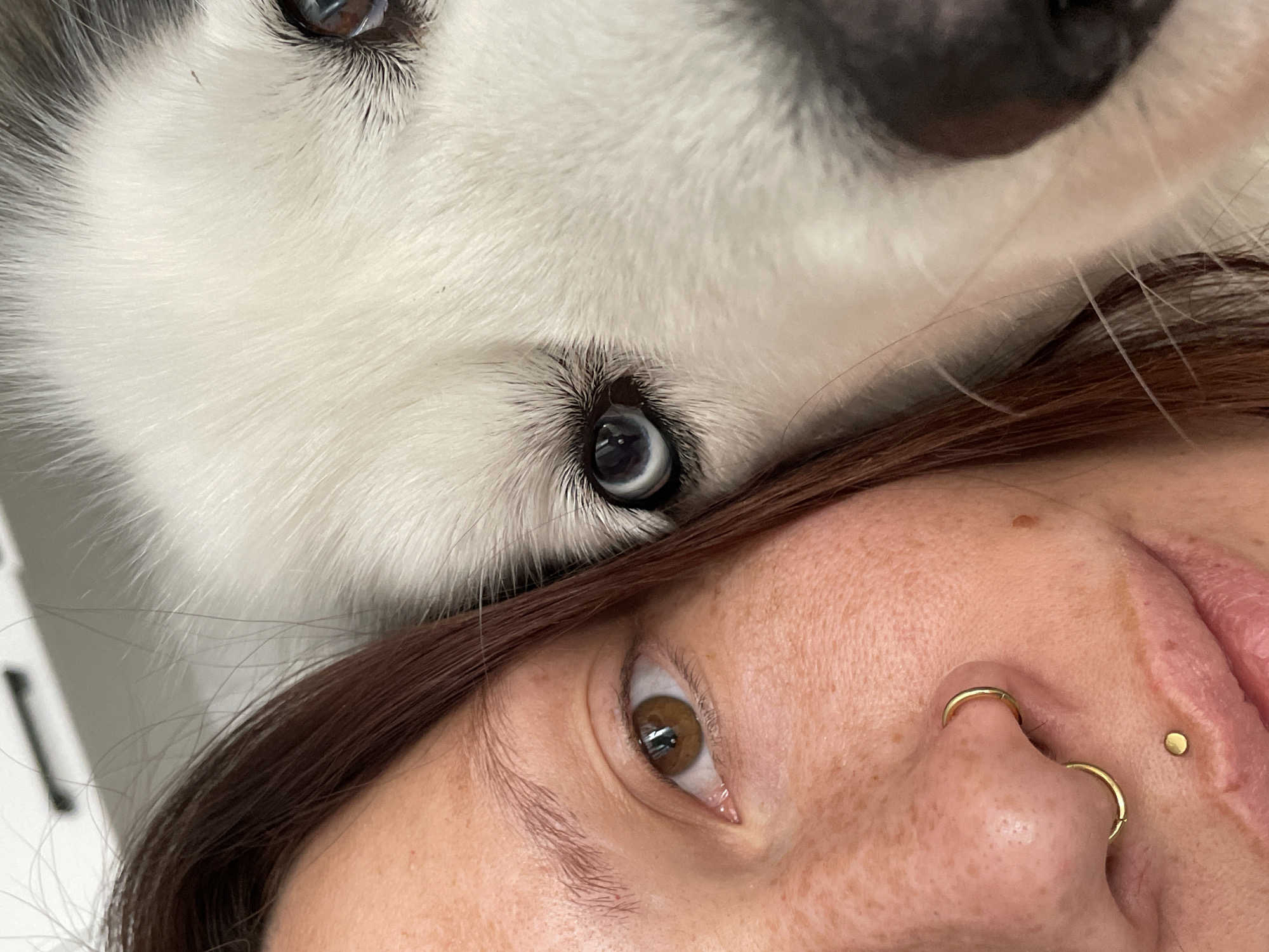 A close-up photograph shows the face of a person and a dog. The person has light skin with freckles, brown hair, and brown eyes. They have piercings in their nose and ear. The dog is a Husky, with white and grey fur, and two different colored eyes (one blue, one brown). The dog's face is positioned above the person's face. The location in the city of Pervomaysky, Russia is not determinable from the image.