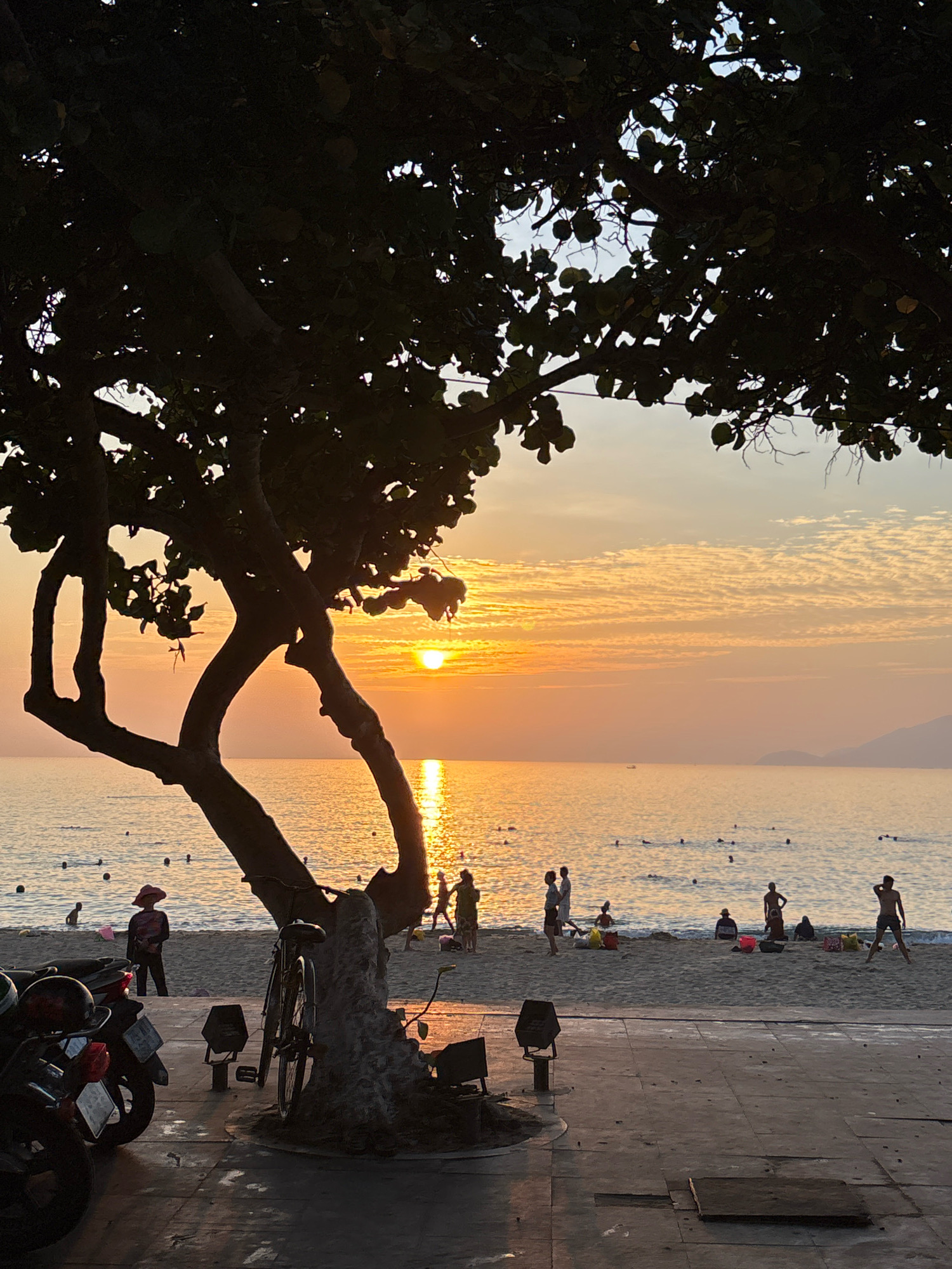 This image depicts a sunset scene at a beach in Nha Trang, Vietnam. The sun, a bright orange orb, is visible in the distance, casting a golden reflection on the calm water. The sky is filled with scattered clouds, creating a textured canvas of orange and yellow hues.
In the foreground, a large tree with dark, silhouetted branches partially obscures the view. Its trunk is thick and gnarled, providing a strong visual anchor. A bicycle is leaning against the tree trunk. To the left, two motorcycles are parked on a paved area.
The beach itself is populated with several individuals. Some are standing near the water's edge, while others are further back on the sand. A person wearing a wide-brimmed hat stands alone near the water. Other figures are seen playing or relaxing on the beach, some with bags or buckets. Small buoys are scattered in the water, indicating a designated swimming area. In the background, the silhouette of distant hills or mountains can be observed against the horizon. The overall atmosphere is serene, capturing the end of a day at the beach.