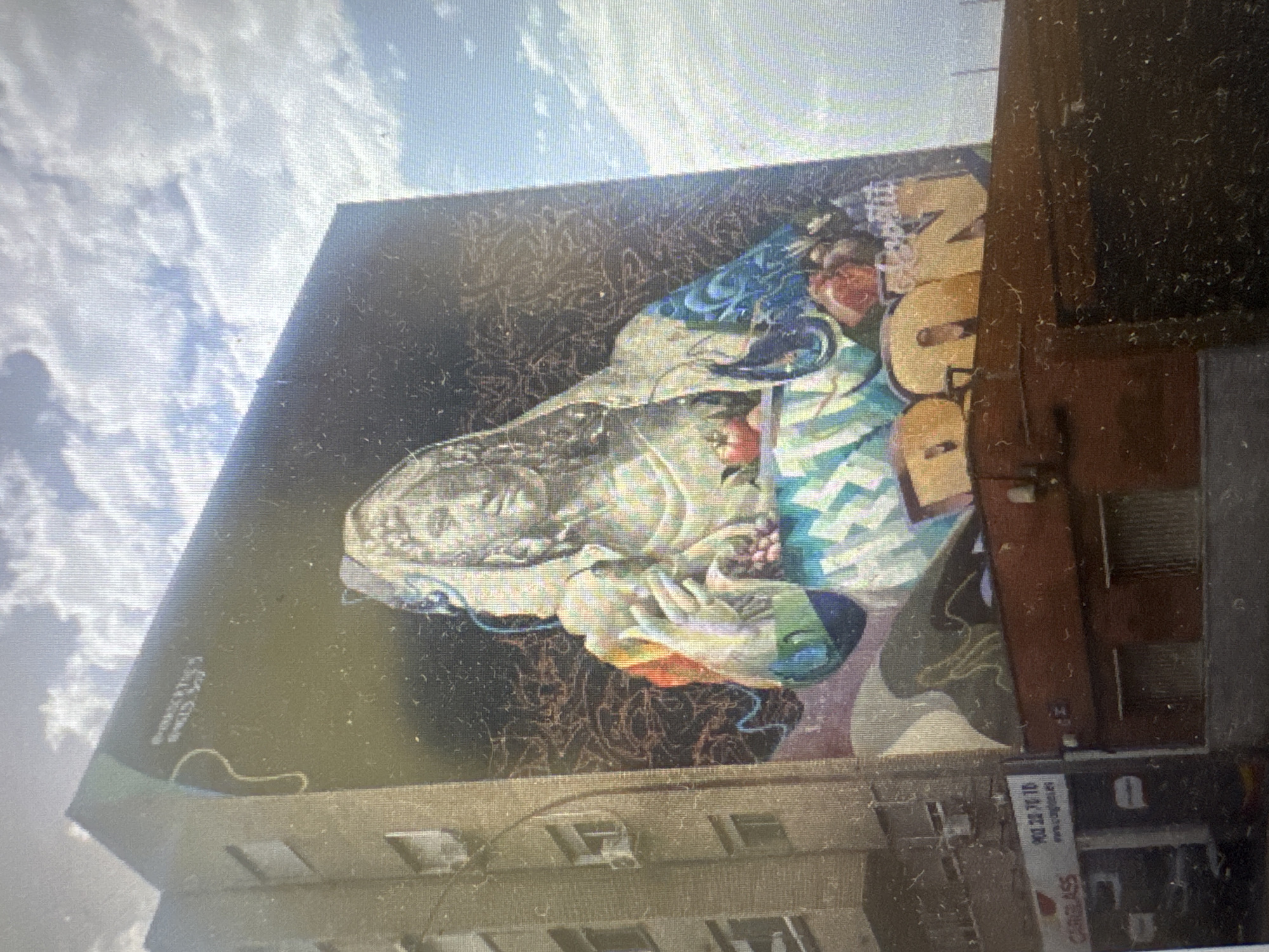 The media file shows a mural on the side of a building. The mural depicts a stylized human face with elaborate, colorful patterns and organic shapes surrounding it. The face appears to be in profile, with closed eyes and a serene expression. The artwork is vibrant and detailed, incorporating shades of blue, green, yellow, and red. There is also text visible on the side of the building, beneath the mural. Part of it reads "GLASS" and another section has numbers that are partially obscured. The overall impression is that of an artistic display in an urban environment. The sky in the background suggests it is daytime, with visible clouds. The building appears to be brick, and there are windows visible on the lower floors. The mural is large and covers a significant portion of the building's facade. The artwork's style is modern and abstract, with influences that could range from surrealism to contemporary graphic design. The colors are bright and eye-catching against the darker background of the mural and the brick of the building. The image is taken from a slightly angled perspective, giving a sense of depth to the scene.