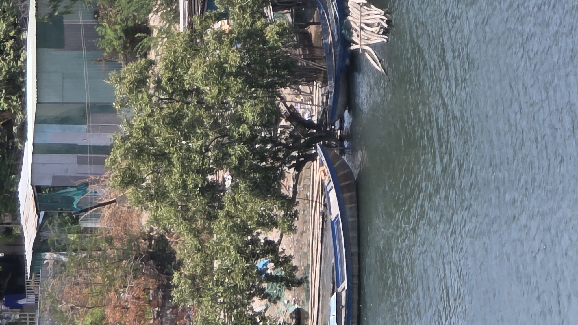 The image shows a waterway with boats docked along the shore, likely in the Nam Natural Heritage Area Trang, Vietnam. A lush green tree dominates the foreground, obscuring some of the boats and the adjacent shoreline. Buildings are visible on the left side of the image, characterized by simple structures and a mix of construction materials. The water surface displays ripples, suggesting a gentle current or wind. Some of the boats appear to be traditional fishing vessels. The general scene suggests a rural or semi-urban environment with a close connection to the waterway.