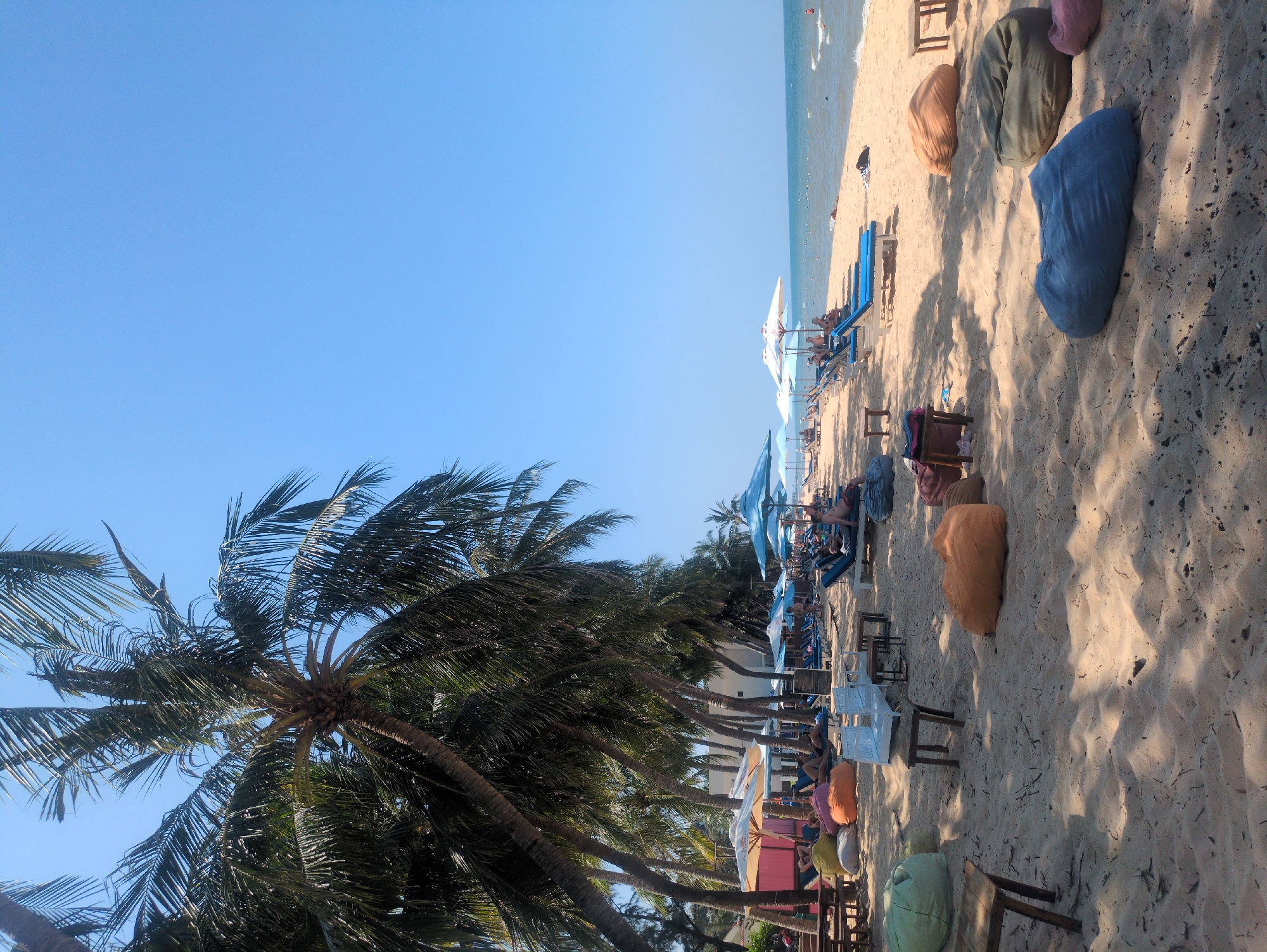 This is an outdoor scene on a beach in Phú Quốc, Vietnam, under a clear blue sky. In the foreground, there are several palm trees casting shadows on the sand. Along the beach are rows of beach chairs, some with people lounging on them, and umbrellas providing shade. Bean bag chairs are scattered near the beach chairs. Further in the distance, the sea meets the beach. People are visible swimming in the ocean.