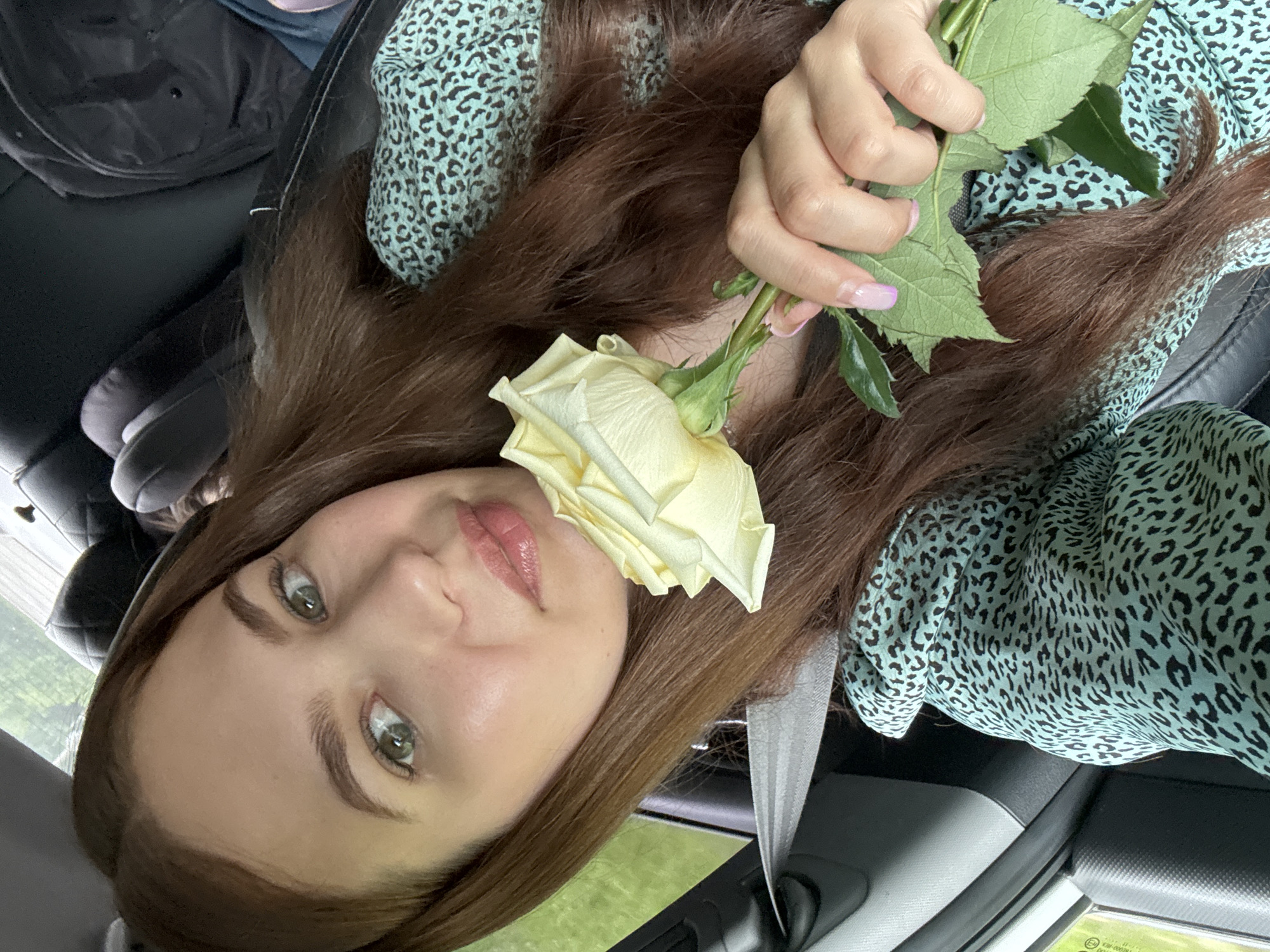 A young woman with long, brown hair and light green eyes is in the driver's seat of a car. She is holding a light yellow rose in her right hand, bringing it up to her face. Her lips are slightly parted, and she appears to be looking at the rose. She is wearing a teal and black leopard-print top. A grey seatbelt is visible across her chest. The background of the image shows the interior of the car, including car seats and a glimpse of the outside through the window, which appears to be a blurry green landscape, possibly indicating a rural or suburban area. The lighting suggests it is daytime. No specific landmarks or features that would pinpoint the location to the city of Chaikovsky, Russia, are visible.