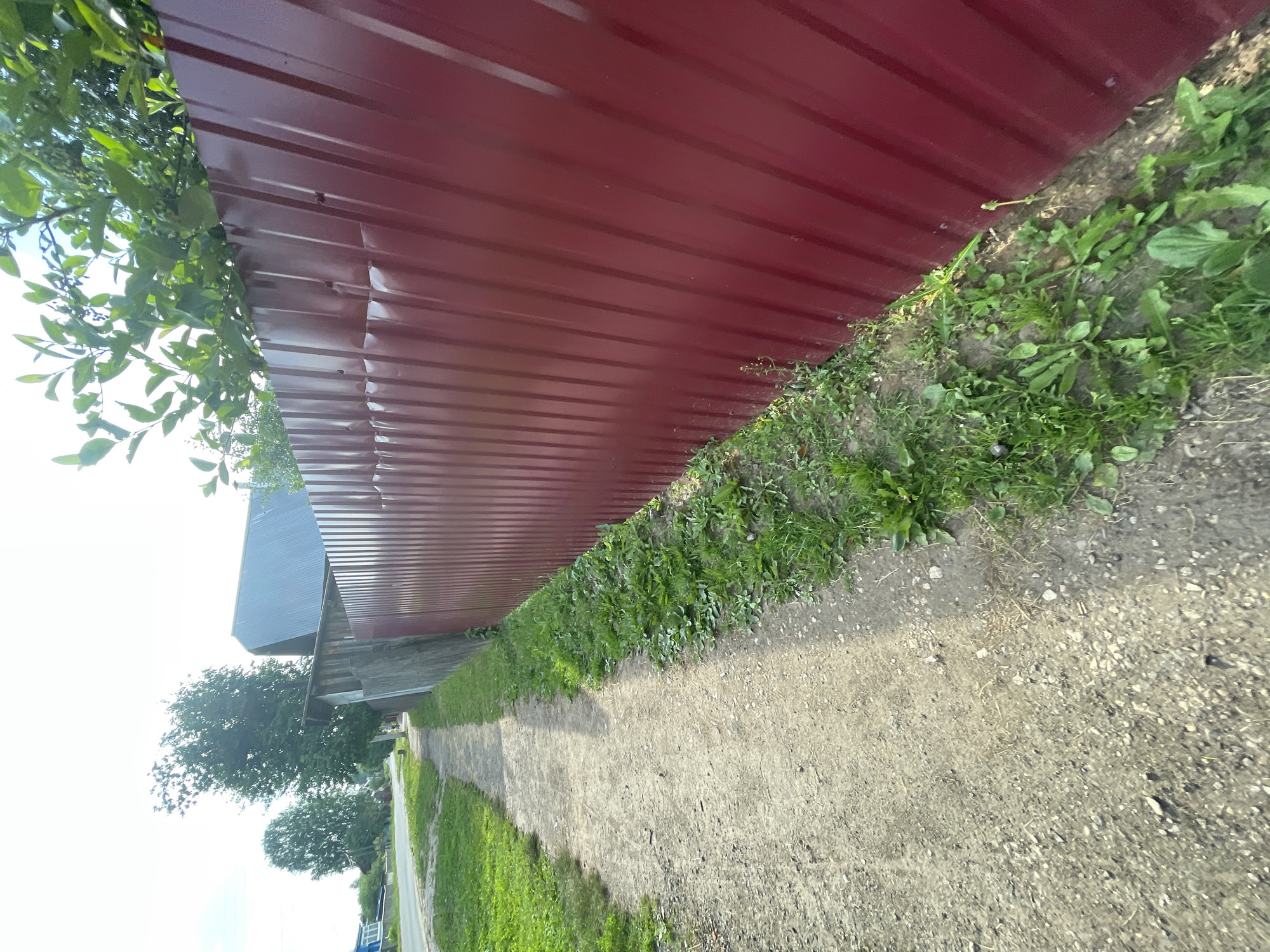 A dirt path runs alongside a tall, dark red corrugated metal fence. To the left of the path is a strip of green grass and beyond that, a paved road. Trees and houses are visible in the distance. The sky is bright and overcast. The image appears to be taken in a rural or suburban setting, possibly in the town of Krasnye Baki, Russia.