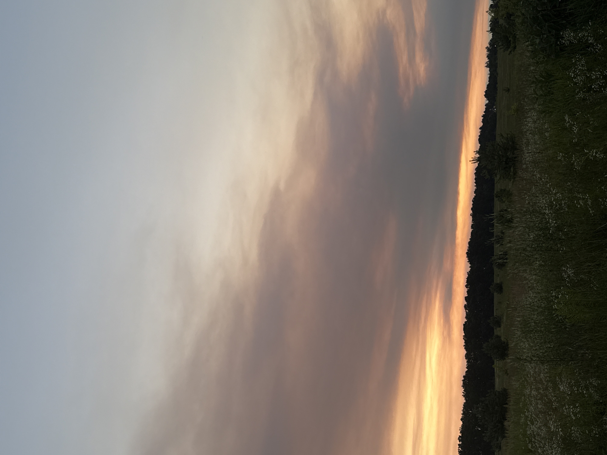 This is a vertical, outdoor, landscape photograph taken in Shpytky, Ukraine. The image depicts a dramatic sunset or sunrise, characterized by a sky filled with smoky, orange and grey clouds. The atmospheric conditions suggest hazy or possibly polluted air, which is intensifying the colors of the sky.
The foreground on the right side of the image is a field of tall green grass dotted with small white flowers, indicative of a meadow or rural area. A dense line of dark trees forms a distinct horizon separating the sky from the land. The trees are silhouetted against the bright sky, with a few scattered smaller trees visible within the field.
The lighting suggests either early morning or late evening, with the sun low on the horizon. The colors in the sky range from a pale blue on the left to intense oranges and yellows near the tree line, with a pervasive smoky grey overlaying much of the scene. There are no people or man-made objects clearly visible in the frame, emphasizing the natural setting. The overall mood conveyed by the image is one of natural beauty, albeit potentially tinged with an element of unease due to the smoky appearance of the sky. No text is visible in the image.
