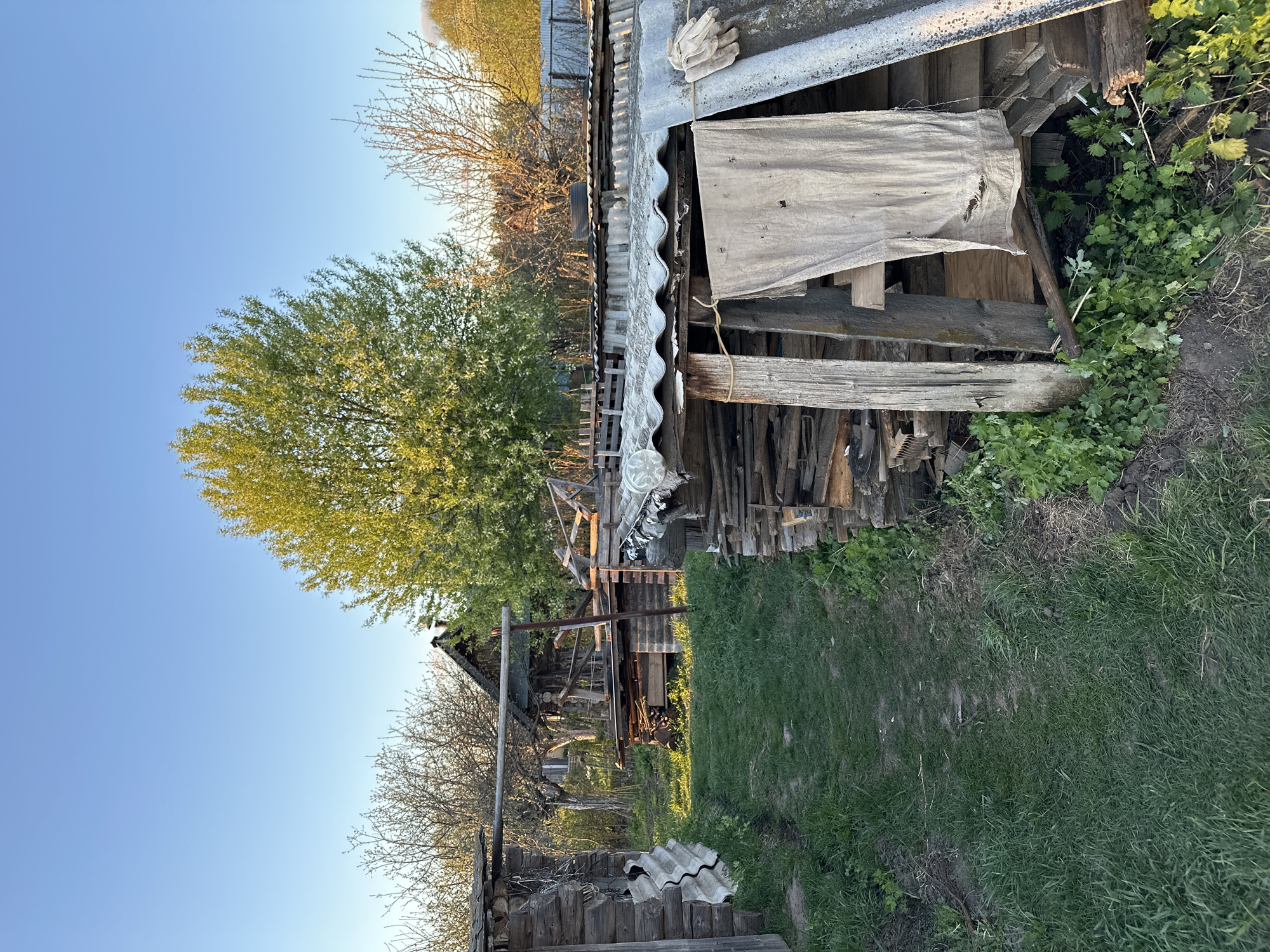 The image shows a rural scene in Среднее Кечево, Russia. The foreground consists of green grass and vegetation. A dilapidated wooden structure with a corrugated metal roof is visible on the right. The structure is filled with wood and debris. A tree with green leaves is located in the middle ground. In the background, there is another weathered wooden building with bare branches of trees visible. The sky is clear and blue.