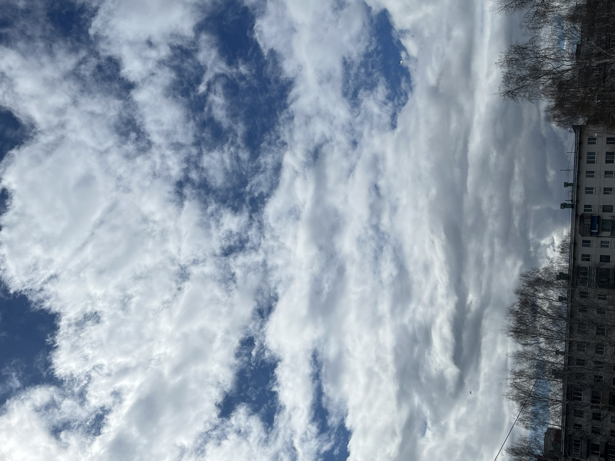 The image presents a view of the sky in Chaikovsky, Russia, characterized by a mix of blue sky and white cumulus clouds. The clouds appear in varied densities, with some areas showing a clearer blue expanse and others filled with thick, clustered cloud formations. Along the upper and right edges of the image, a portion of a building and tree branches are visible, suggesting an urban or suburban setting. The building has multiple windows, and the trees are bare, indicating a season with little to no foliage.