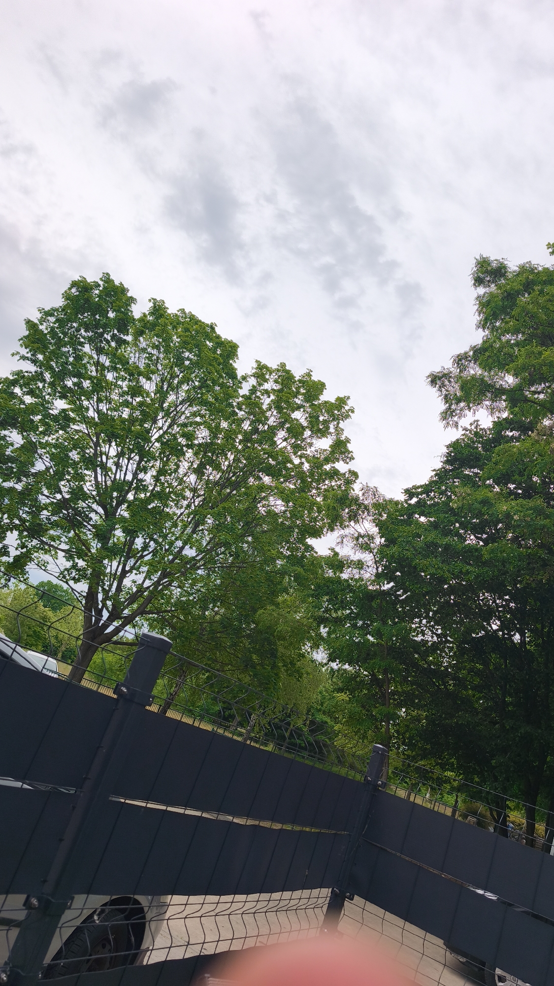 A low-angle shot captures a cloudy sky above green trees. A black fence with wire mesh runs along the bottom of the frame. The location is an unidentified city, state, or location.
