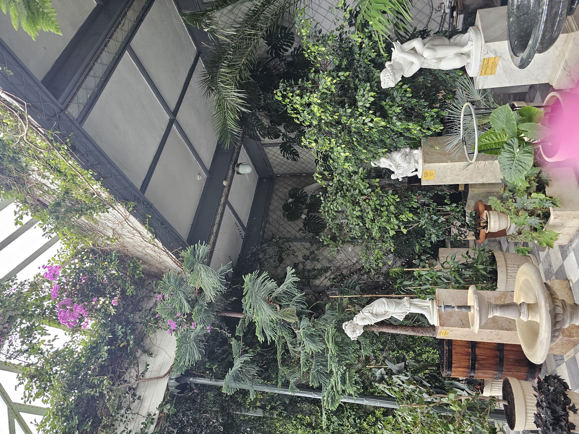 The image depicts an interior space, possibly a botanical garden or greenhouse, located within the Алупкинский городской совет, Ukraine. The architecture features a gabled roof constructed with a framework of metal beams and glass or translucent panels, allowing natural light to filter in. Dense vegetation is prevalent throughout the space. Ivy and flowering plants are climbing along the interior walls. Sculptures, specifically white marble statues, are placed strategically among the greenery. The scene includes fountain-like features constructed of light-colored stone or concrete. The overall ambiance is that of a lush, indoor garden with a classical aesthetic.