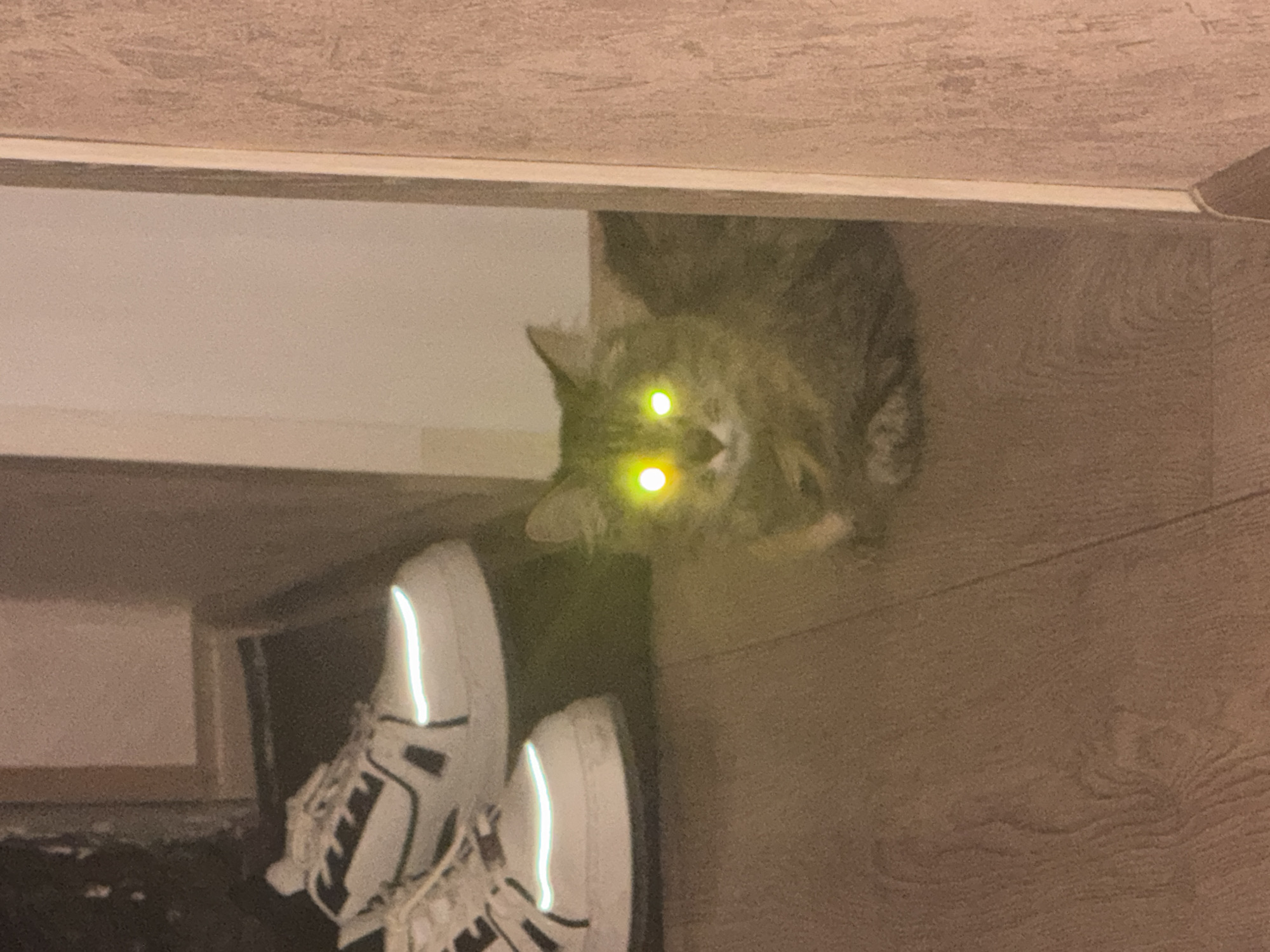This is a close-up, medium-shot photograph of a cat sitting on a wooden floor in what appears to be a domestic setting. The cat is a medium-haired tabby with striking green eyes that are glowing due to a flash. The cat is partially obscured by a vertical doorway or partition on the right side of the frame. To the left of the cat, a pair of white athletic shoes with reflective stripes is visible. The lighting in the image is dim, with the exception of the cat's eyes, which are brightly illuminated. The background is out of focus, but suggests an indoor environment. There is no indication of the cat's age or gender, nor are there any explicit actions or interactions depicted. The image is devoid of any contextual information that would allow for its placement in Saratov, Russia, or any other specific city.