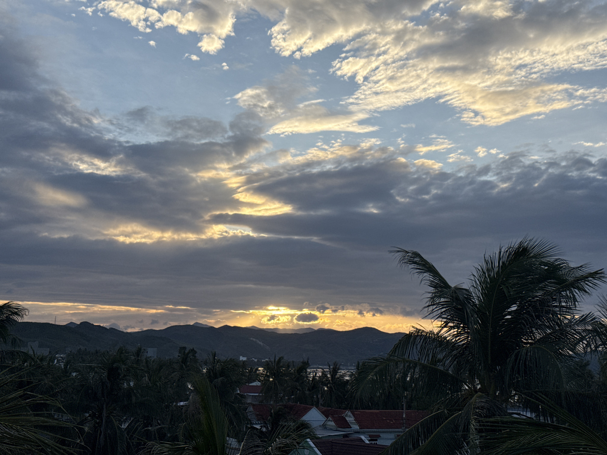 The image captures a dramatic sunset over the city of Song Cau, Vietnam. Dark, layered clouds dominate the sky, with streaks of golden sunlight breaking through, illuminating the horizon and casting a warm glow. Below the sky, a range of dark, silhouetted mountains forms the backdrop. In the foreground, lush green palm trees frame the scene, their fronds creating a sense of depth and texture. Scattered among the trees are the red-tiled roofs of buildings, suggesting a residential or urban area nestled within the natural landscape. The overall atmosphere is serene and picturesque, characteristic of a tropical coastal sunset.