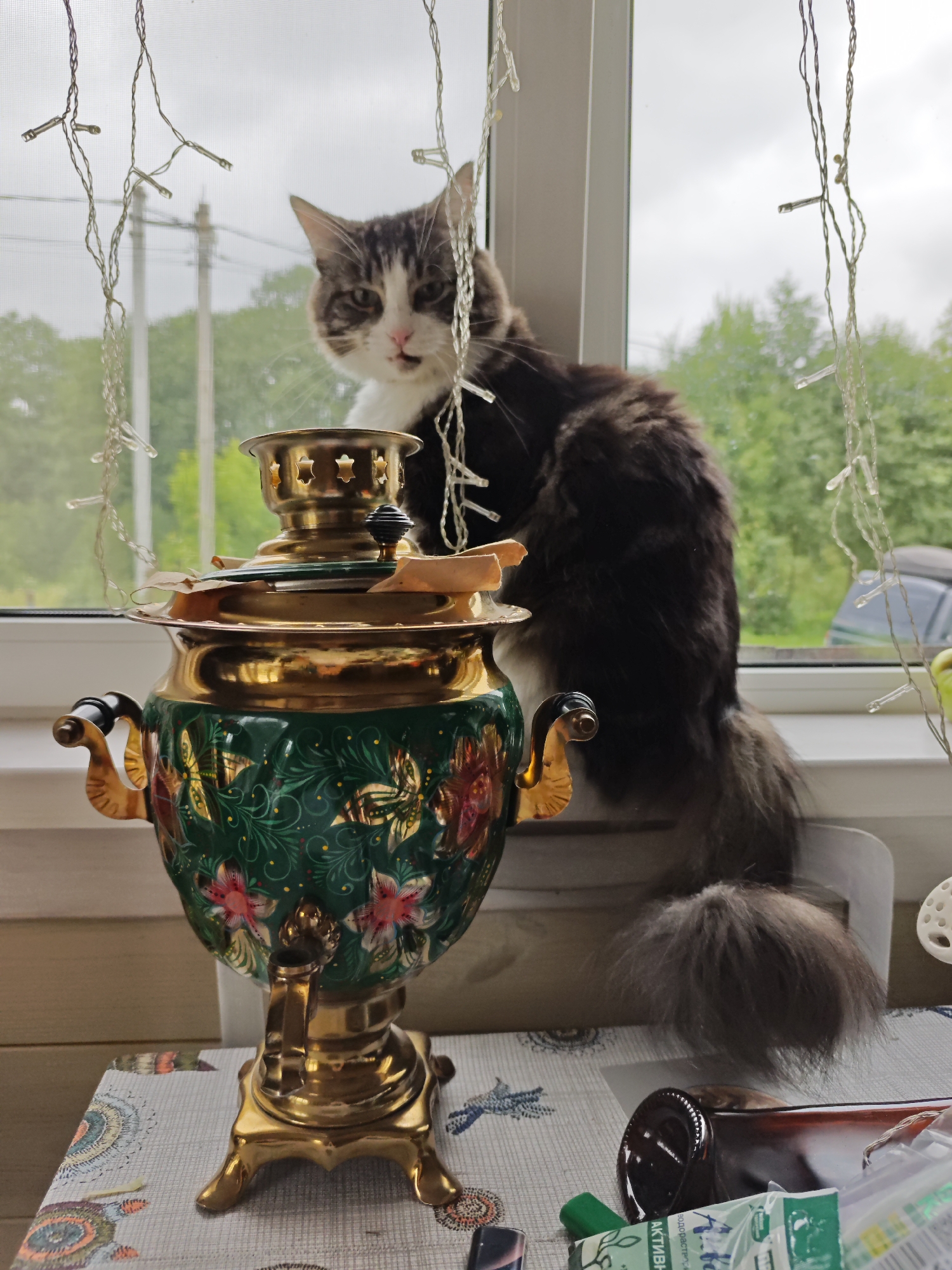 The image depicts an indoor scene, likely a home interior, with a window overlooking a natural, possibly rural, environment. The foreground features a highly decorative, ornate brass and green samovar with floral motifs. To the right, a brown glass bottle lies on its side next to some plastic packaging. A fluffy, grey and white cat is perched on the windowsill behind the samovar, looking towards the viewer. The window is adorned with a string of small, clear LED lights. Outside the window, trees and power lines are visible against an overcast sky. The overall impression is one of a domestic setting with traditional elements, likely within the village of Podosinki, Russia, given the context provided.