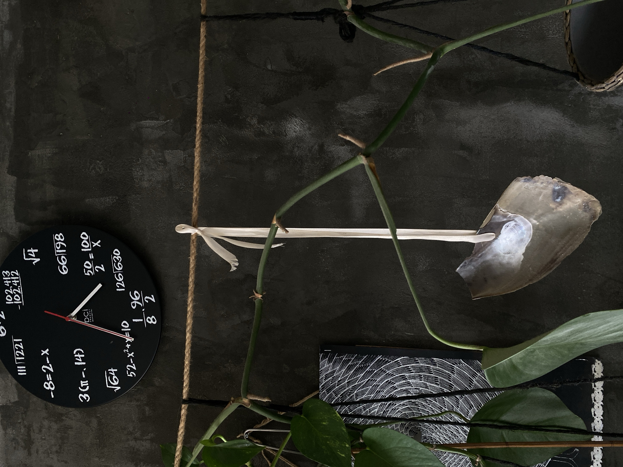 The image presents an overhead view of an artistic arrangement against a dark, textured backdrop, possibly a wall or ceiling. The dominant color is a deep charcoal grey or black, creating a moody and textured environment.
A prominent subject is a black, circular clock on the left side, featuring white mathematical equations and numbers instead of traditional hour markers. The clock's hands, white for the hour and minute, and red for the second hand, indicate a time. Visible mathematical expressions include: "102,413 - 102,412" (evaluates to 1), "√4" (evaluates to 2), "66/198", "50 = 100 / 2 X" (evaluates to X=1), "126 630", "1 96 / 8 2", "52-x²+x=10", "√64" (evaluates to 8), "3(π-.14)" (evaluates to 9), "-8=2-x" (evaluates to x=10), "111221", and "6^2". The clock face also has the text "DCI PRODUCT".
A thick, natural fiber rope extends vertically through the image, secured at points, and interacting with the other elements. Green plant vines with visible leaves and stems are artfully draped across the scene, intertwining with the rope and resting on the dark surface. One particularly long, light-colored stem is secured by the rope and features a delicate white bow.
Towards the upper right, an irregularly shaped object with a reflective, iridescent surface (resembling polished shell or stone) is visible, attached near the end of the light-colored stem. Below the plant leaves, a black rectangular object with a distinct white swirling, concentric line pattern is partially visible. The scene has a somewhat industrial, minimalist, and natural aesthetic, with a focus on contrasting textures and organic shapes against a stark background. There are no people visible, and no discernible activity is taking place.