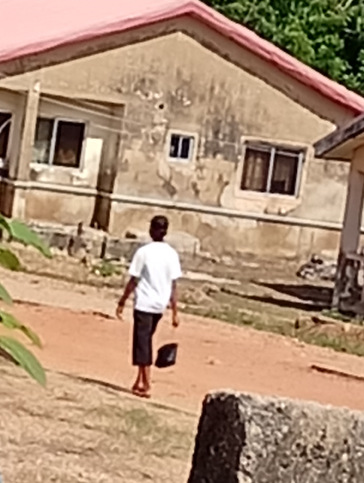In the city of Unknown, Unknown, a person walks away from the camera on a dusty path. The person is wearing a white t-shirt and dark shorts, and they are carrying a black bag in their right hand. They are walking towards a dilapidated building with a pink roof. The building has several windows and appears to be old and in need of repair. Green foliage is visible behind the building, suggesting an outdoor setting. The foreground shows a rough, rocky surface and some dry grass. The lighting suggests it is daytime, possibly with overcast conditions due to the lack of harsh shadows. The scene appears to be in a rural or semi-urban environment.