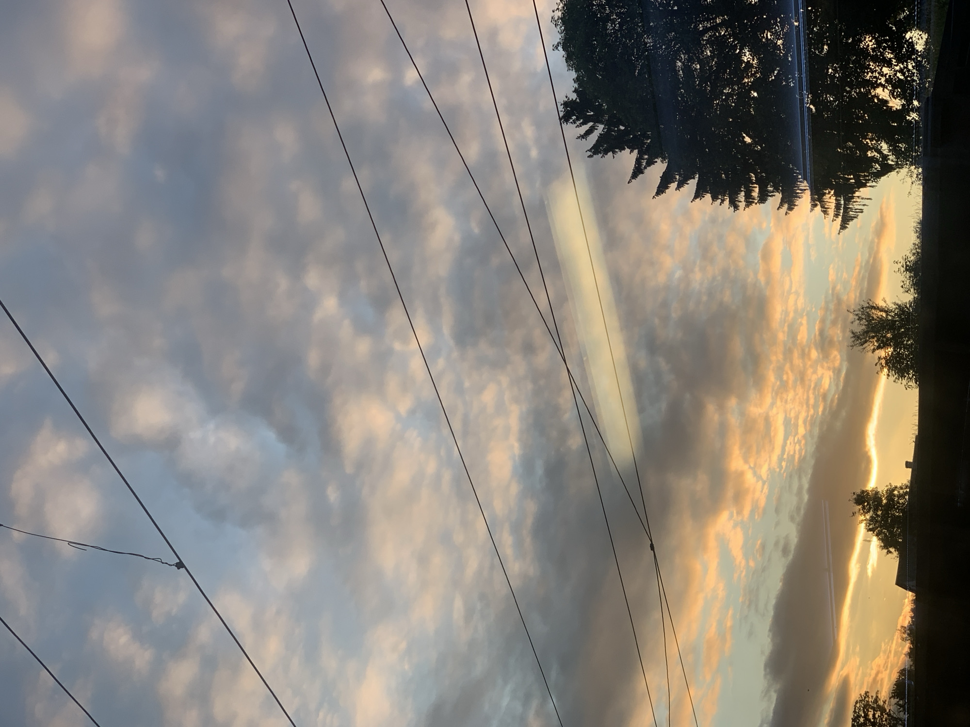 The image captures a dramatic sky at sunset or sunrise, as evidenced by the warm, golden hues illuminating the clouds. The scene is dominated by the sky, with clouds forming various shapes and textures, some tinged with orange and pink, while others remain a muted gray and blue. Several dark, thin power lines crisscross the frame diagonally, suggesting an urban or semi-urban setting. Silhouetted against the bright sky on the right side of the image are the tops of trees, their branches detailed and dark. A building or structure is also partially visible in the silhouette, with a suggestion of a roofline. The overall mood is one of natural beauty and a sense of calm, perhaps tinged with a bit of melancholy due to the muted colors and the starkness of the power lines. The time of day is clearly either dawn or dusk, and the weather appears to be fair, with scattered clouds. There is no visible text in the image. The location is Maksymivka, Ukraine.