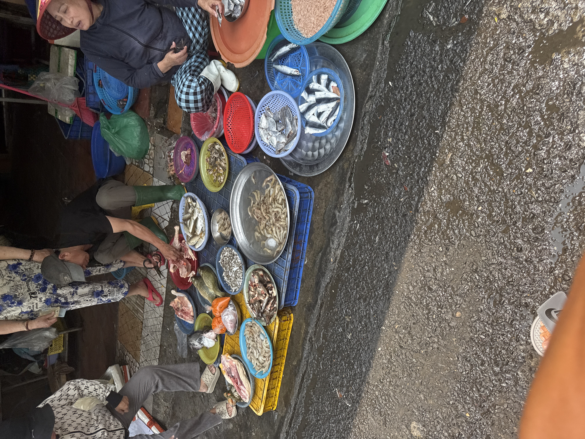 Captured from an elevated perspective, the image presents a bustling scene at a Vietnamese market, likely in Đà Nẵng, characterized by the sale of fresh seafood and meat. The ground is dark, likely wet, indicating either a recent rain or routine cleaning activities. The main subjects are an array of vendors and customers engaged in commerce. People of various ages are evident, with one vendor, distinguished by their traditional red hat and checkered pants, situated among numerous baskets and platters filled with seafood. Another vendor, wearing green boots, is seen preparing meat, suggesting the presence of a butcher or meat seller. The market's offerings are diverse, including fish, shrimp, and cut pieces of meat, presented in colorful plastic baskets and metal platters. The baskets and platters are placed directly on the ground, a common practice in such markets. Interactions involve the handling and preparation of food items and exchange of money. The environment suggests a busy, possibly outdoor market setting, with signs of wear and tear on the ground indicating frequent use.