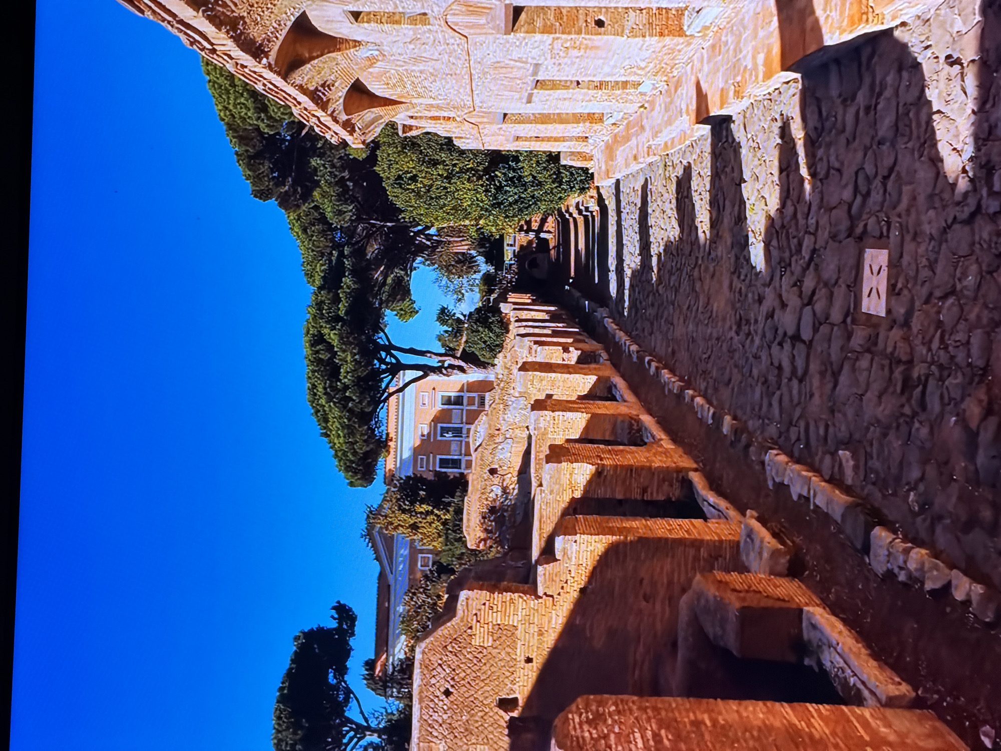 This image depicts an outdoor scene featuring ancient stone and brick structures, suggesting a historical or archaeological site. The architecture appears to be weathered, with visible wear and tear on the stone walls and brickwork. The path is paved with rough stones, and a channel or aqueduct runs alongside it, filled with water. Lush green trees, including a prominent pine tree, are interspersed throughout the scene, with their branches extending over the structures and the clear blue sky. In the background, a multi-story building with windows and a tiled roof is visible, contrasting with the ancient ruins. The sunlight casts strong shadows, indicating it is likely daytime. The overall impression is one of a serene, historical landscape. There is no visible text in the image.