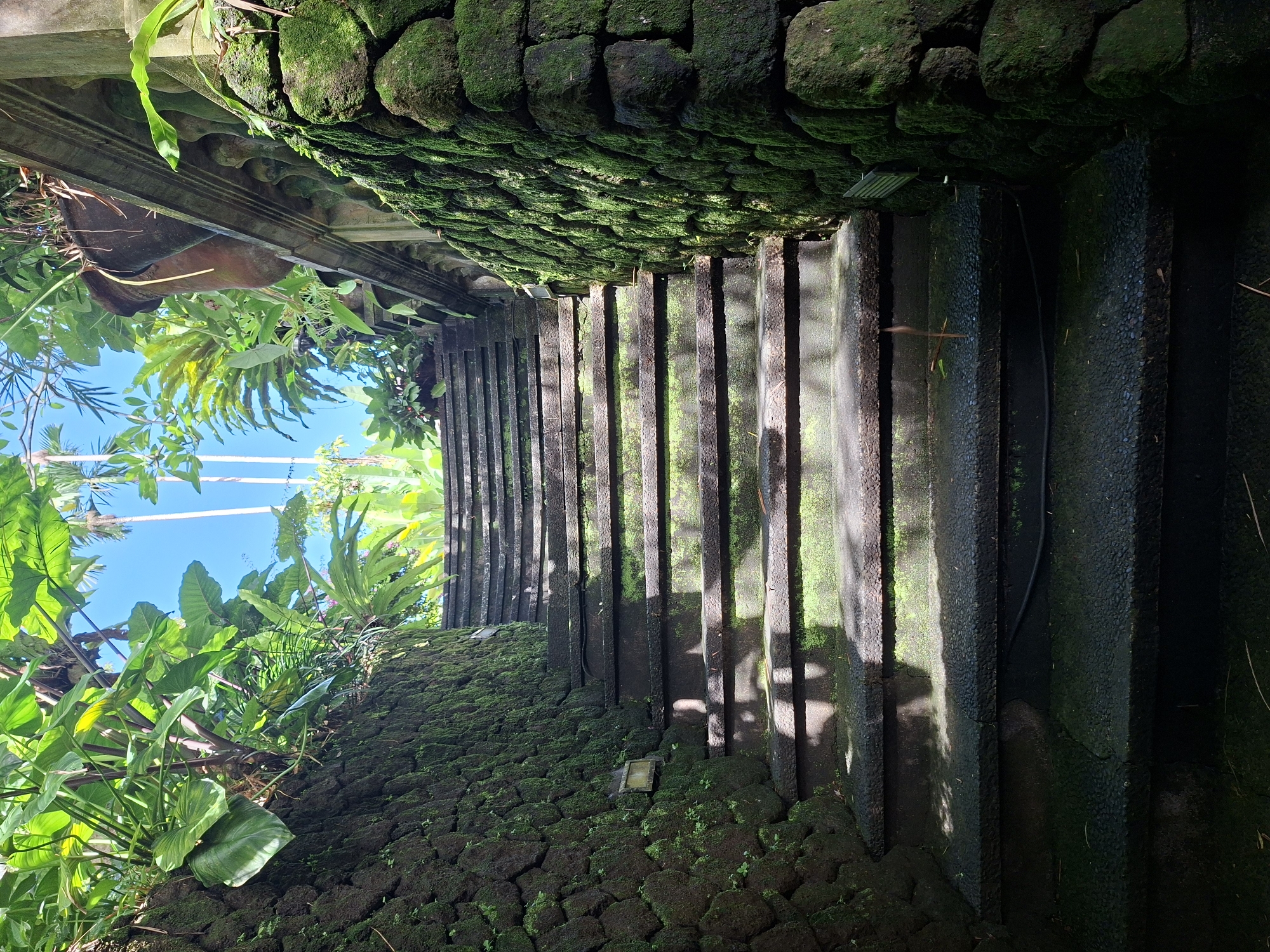 The image depicts a set of stone steps in Ubud District, Indonesia, viewed from a low angle looking upwards. The steps are flanked by stone walls covered in moss and vegetation. Sunlight filters through the foliage, casting shadows on the steps. The sky is visible through the leaves above. A structure with a decorative cornice is partially visible at the top left of the frame.