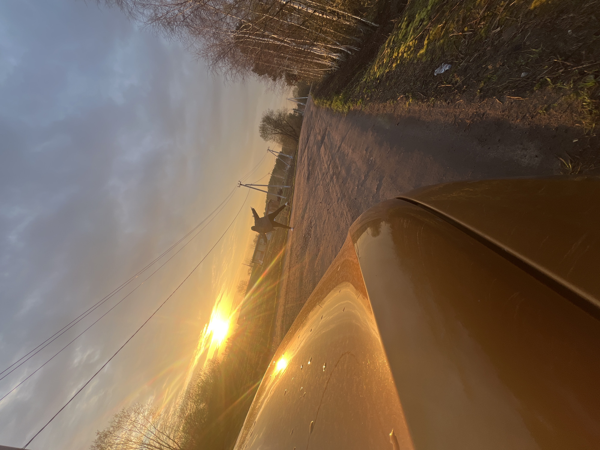 This landscape image captures a serene rural or semi-rural scene in Раздолье, Russia, during what appears to be golden hour, either sunrise or sunset. The sun is a prominent and intensely bright orb low on the left horizon, casting a strong golden light across the entire environment and creating noticeable lens flares.
In the mid-ground, a solitary figure is silhouetted against the bright sun, standing on the left side of an unpaved or dirt road with arms raised, possibly in a gesture of joy, freedom, or stretch. The road recedes into the distance, flanked by numerous bare deciduous trees, characteristic of late autumn, winter, or early spring. Power lines stretch diagonally across the upper left quadrant of the sky.
The foreground on the right side of the image features the glossy, golden-brown hood of a vehicle, which reflects the intense sunlight and shows distinct water droplets, suggesting recent rain or dew. The sky transitions from a brilliant golden hue near the sun to a muted blue-grey with scattered clouds further away from the light source. There is no visible text in the image. The overall impression is one of peaceful natural beauty, with the warm light enhancing the scene's tranquility.