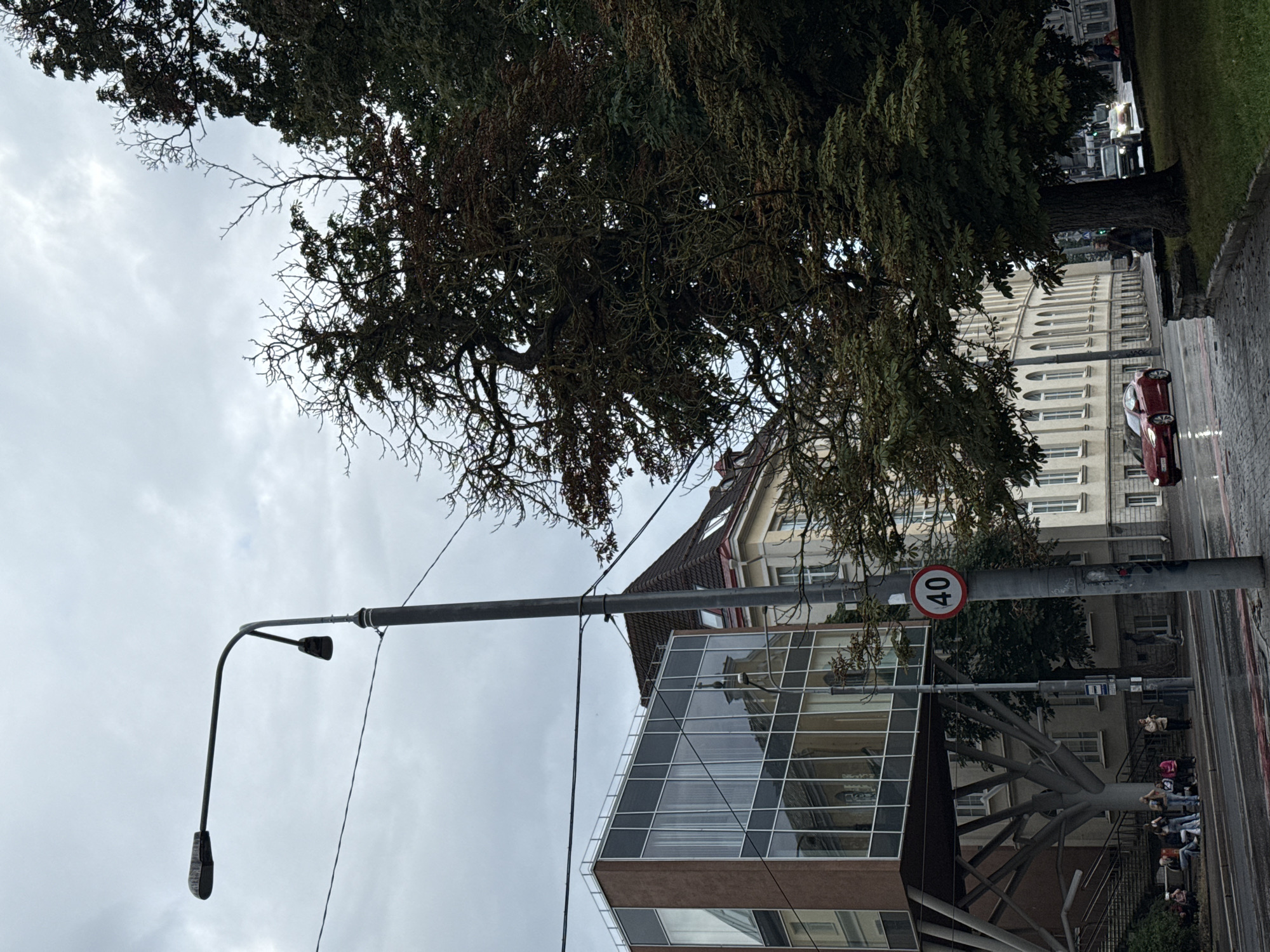 The image depicts a street scene in Tallinn, Estonia, on an overcast day. A modern building with a glass facade is prominently featured on the left, supported by an artistic structure that resembles tree branches. Adjacent to it is an older building with a traditional tiled roof. A street lamp with two fixtures stands tall in the foreground, and a speed limit sign indicating "40" is attached to its pole. The street appears wet, suggesting recent rain. Several people are visible on a sidewalk in the middle ground, some sitting on a bench and others standing. Two cars are driving on the street, one red and one white. Large trees with dark green foliage are present on the right side of the image, partially obscuring the view of more buildings and streetlights in the distance. The sky is heavily clouded.